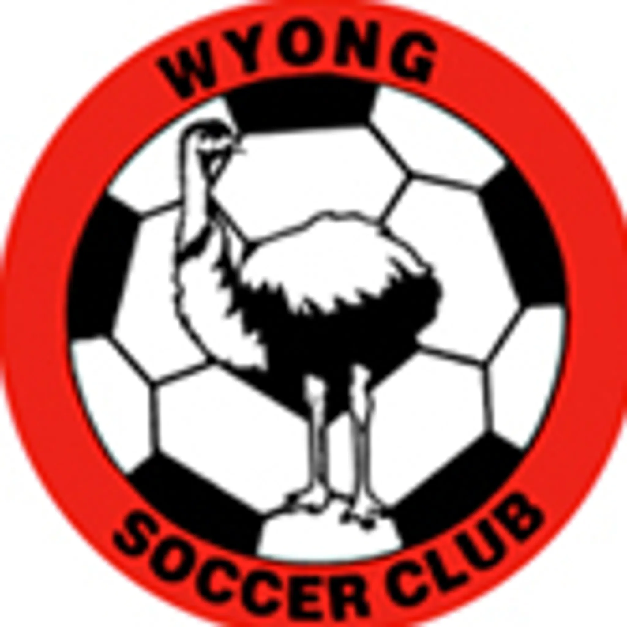 Wyong Emus Soccer Club Special Needs Program
