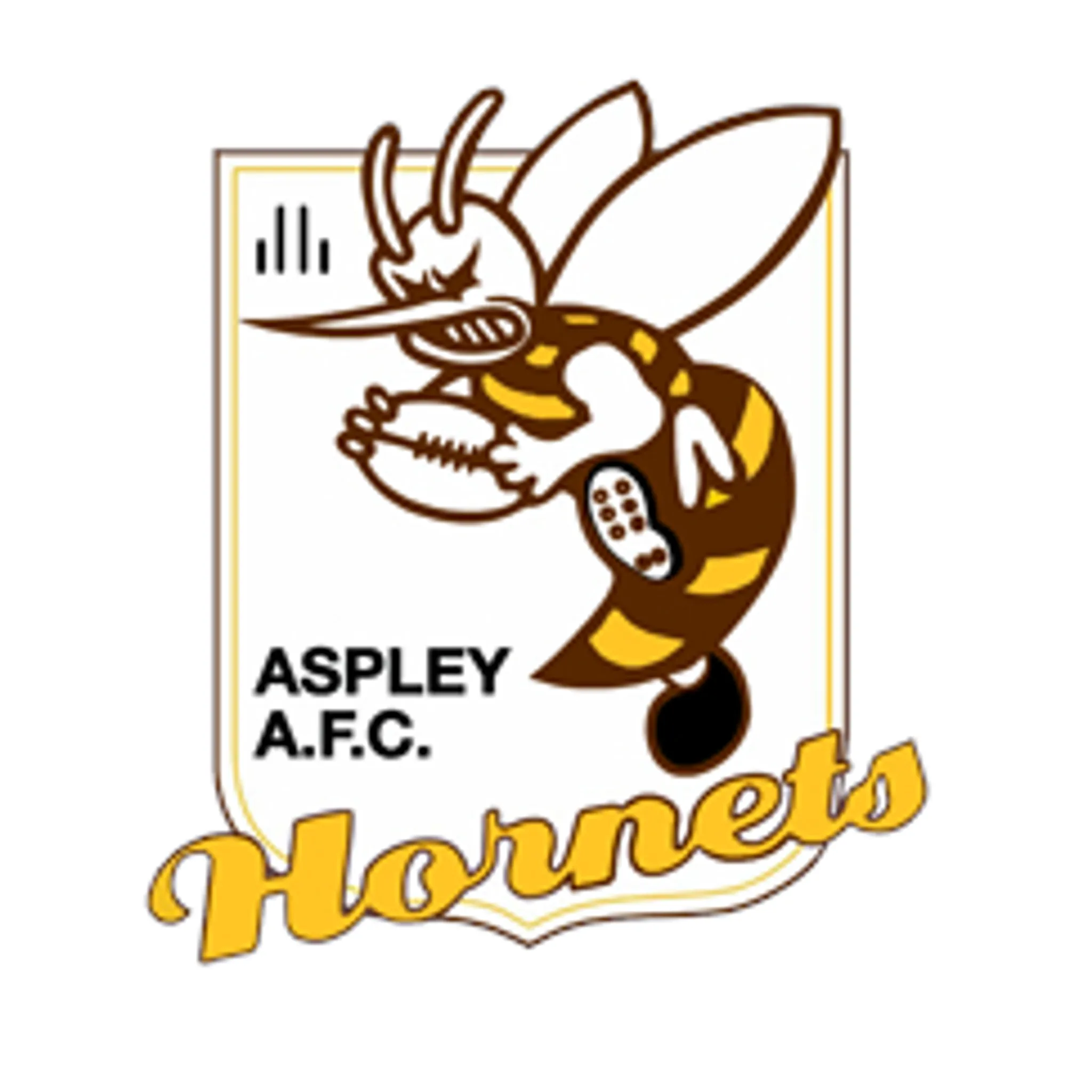 Aspley Australian Rules Football Club