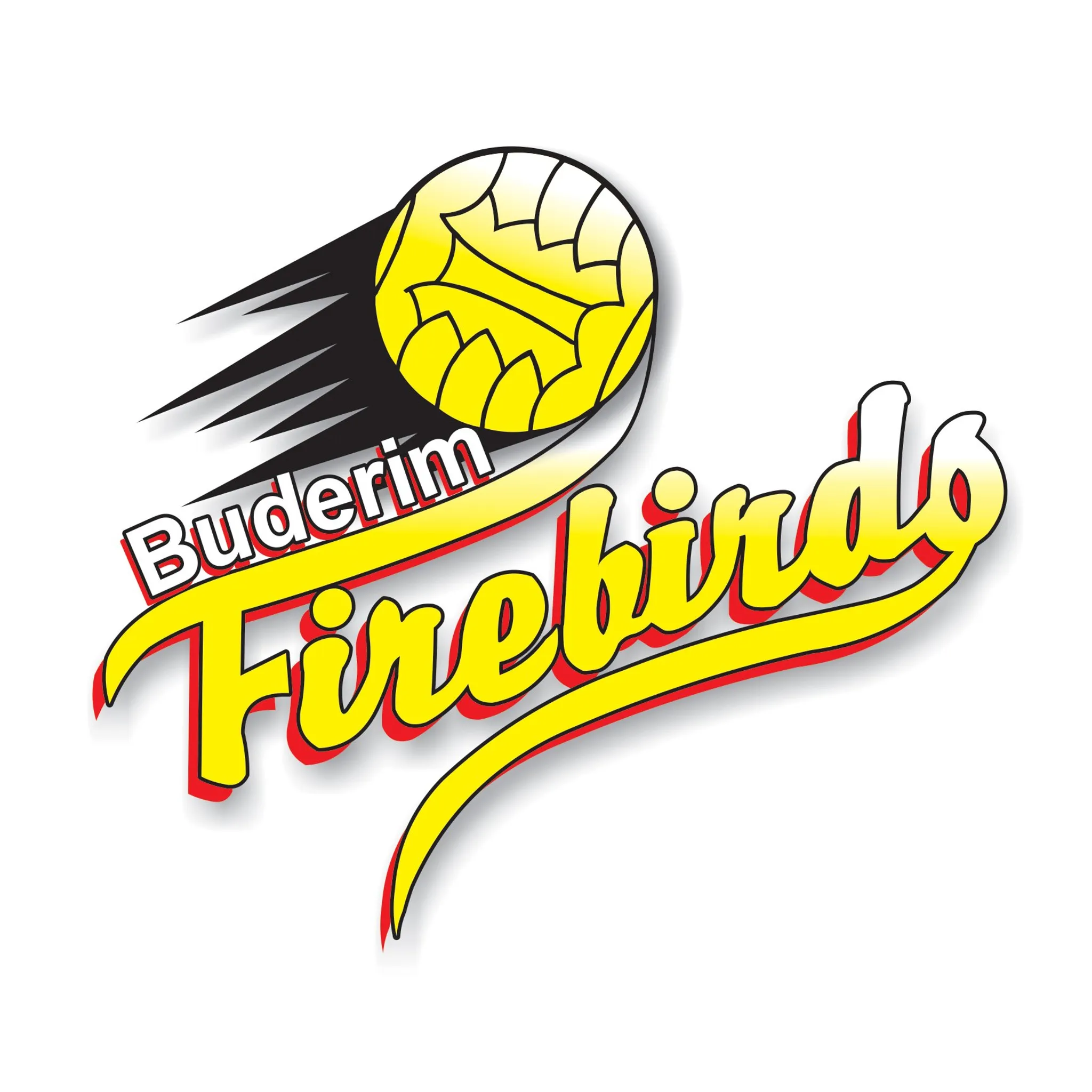Buderim Firebirds Netball Club