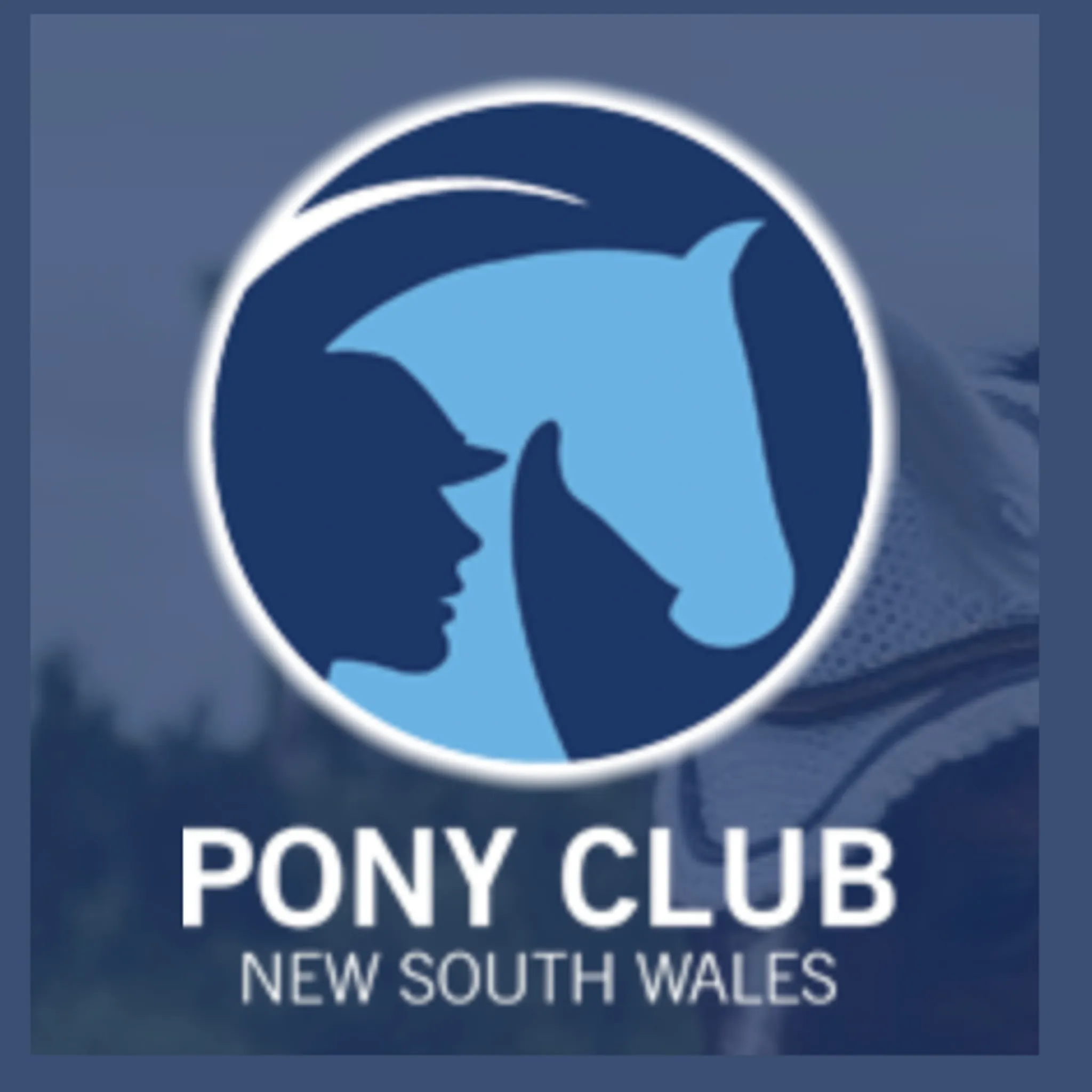 Zone 15 Pony Club NSW