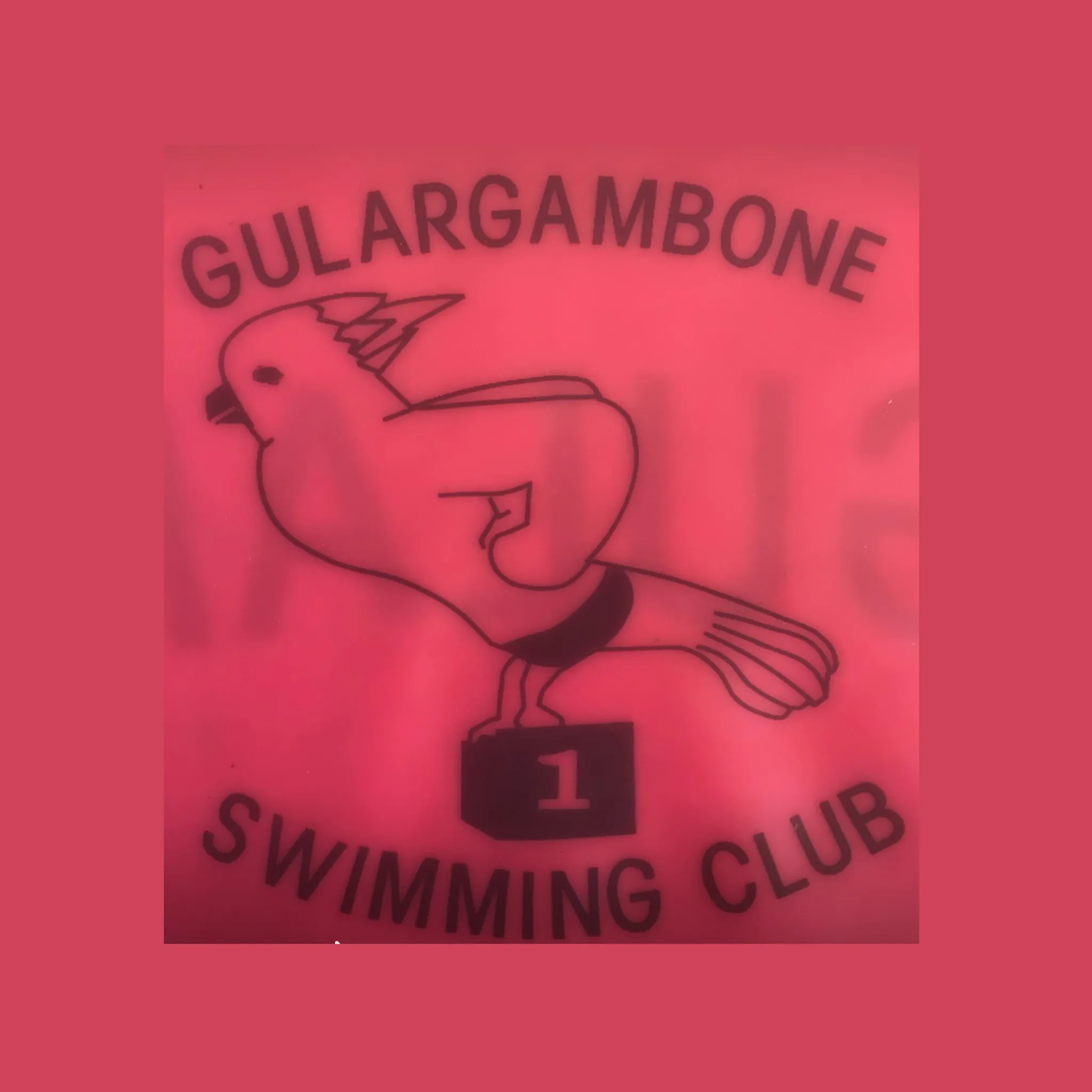 Gulargambone Amateur Swim Club