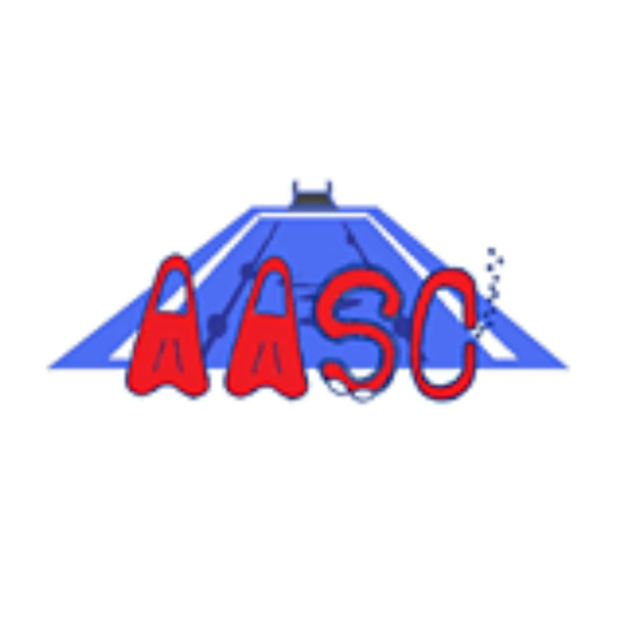 Armidale Amateur Swim Club