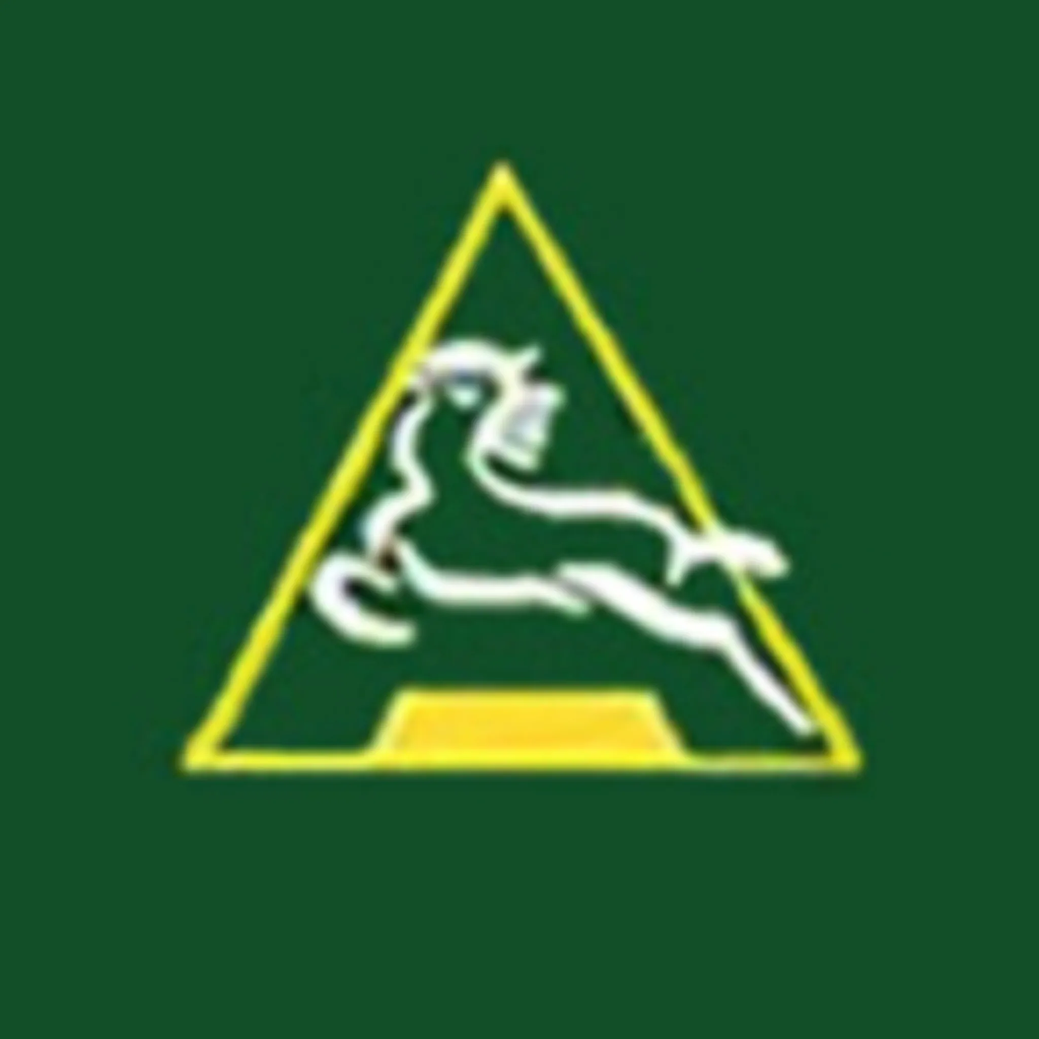 Avondale & District Pony Club