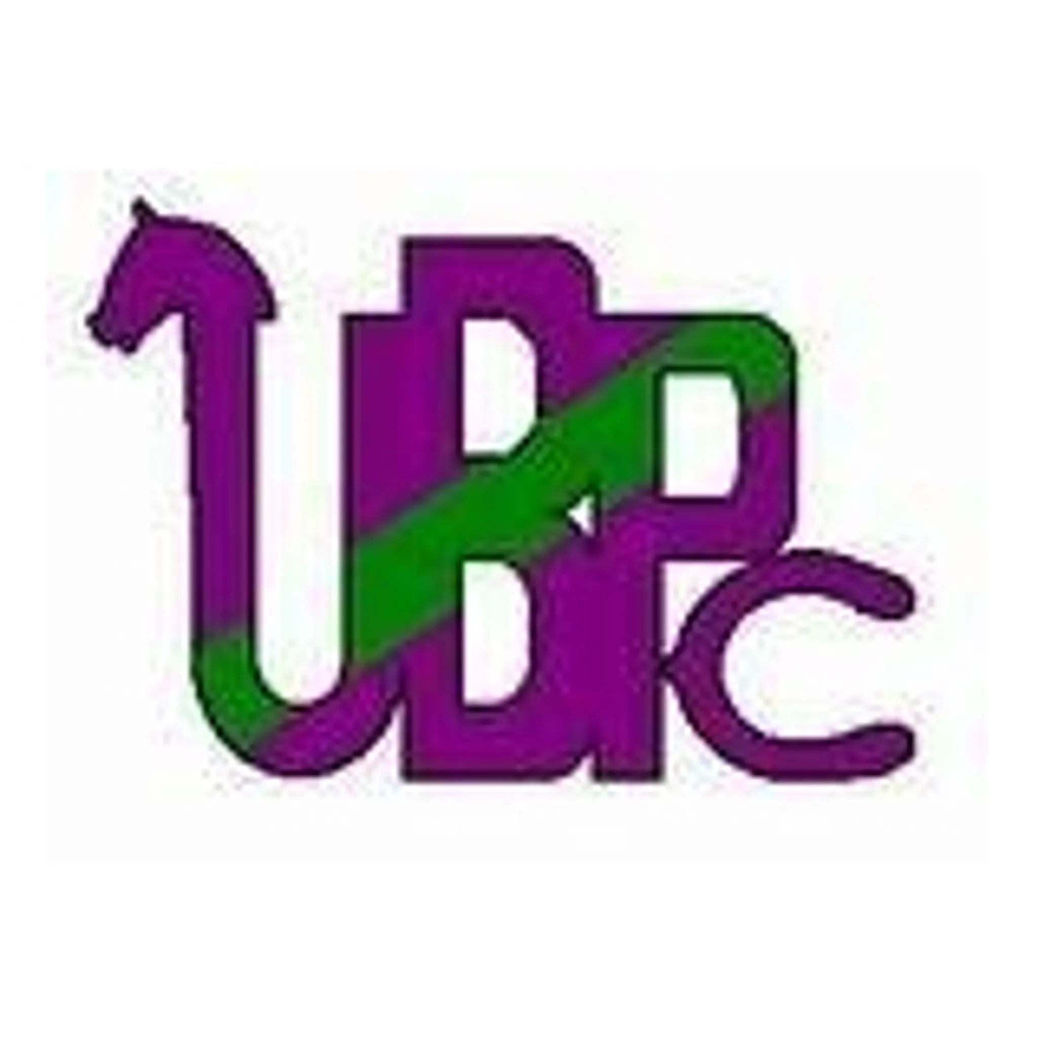 Upper Beaconsfield Pony Club