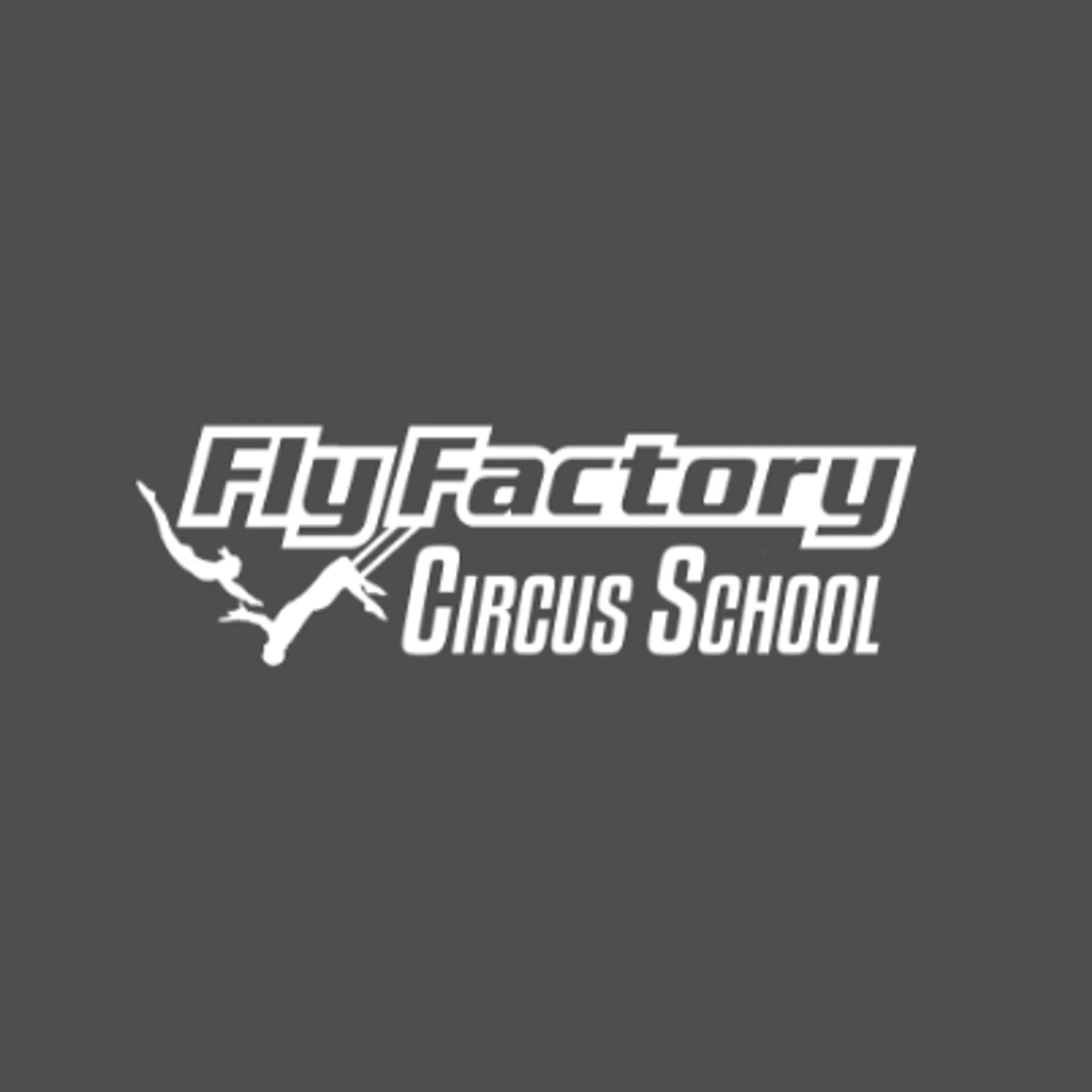 Fly Factory Circus School