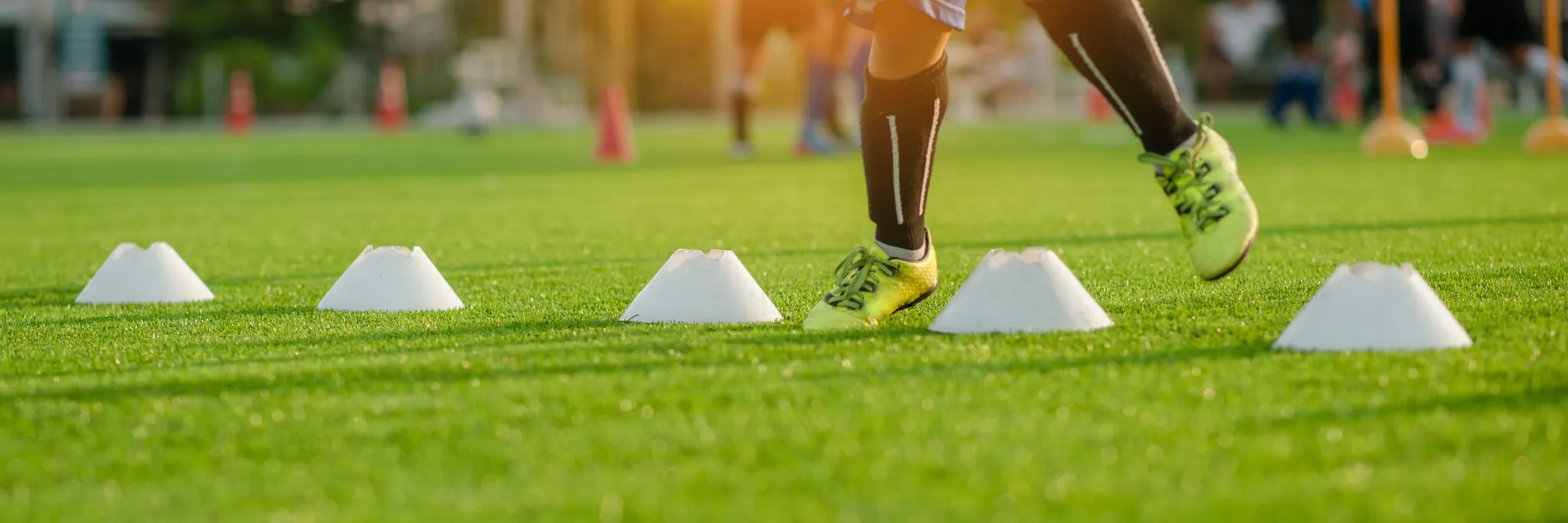 Primary Fit Term 1 2019 Primary Fit Term 1 2019