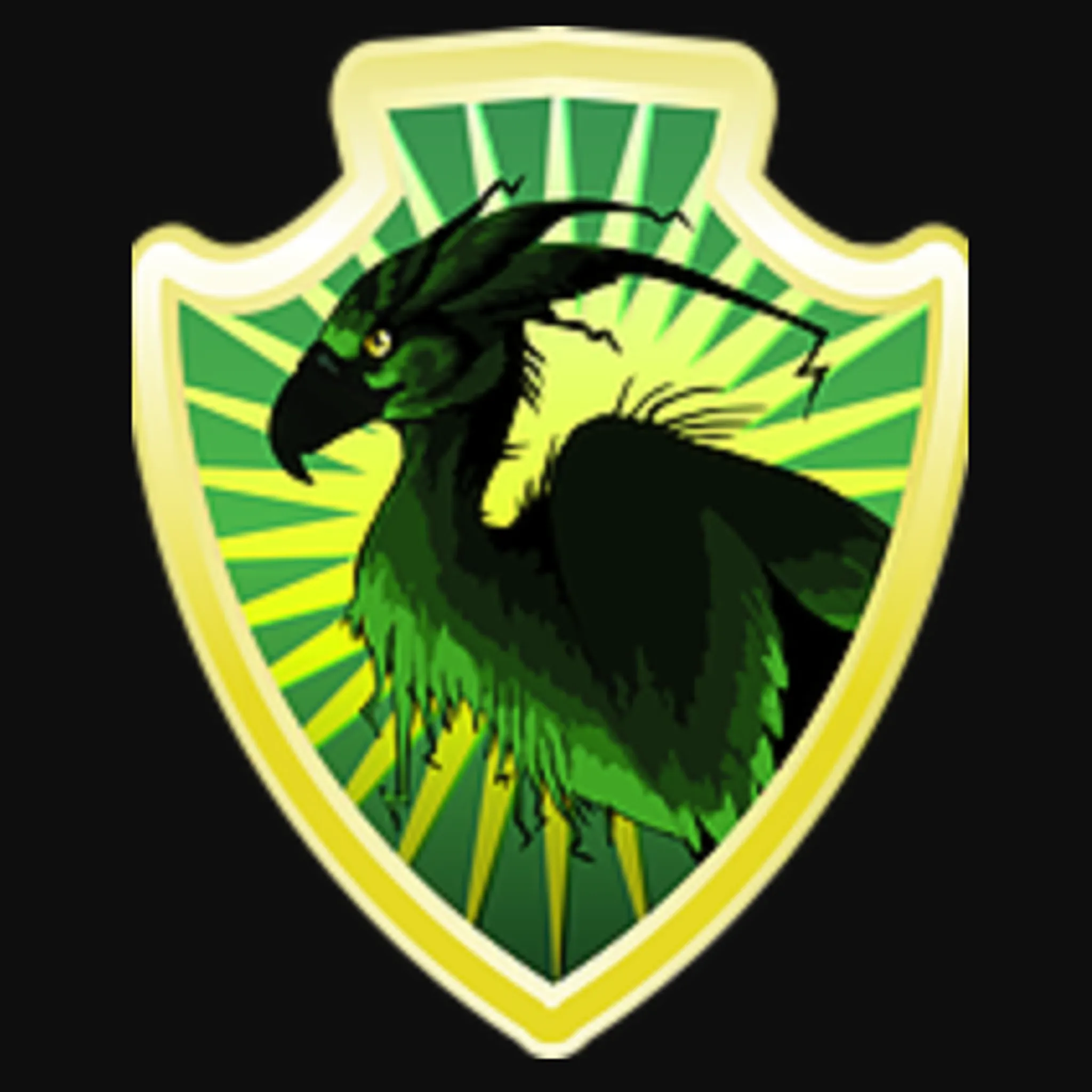 Adelaide Augureys Quidditch Club