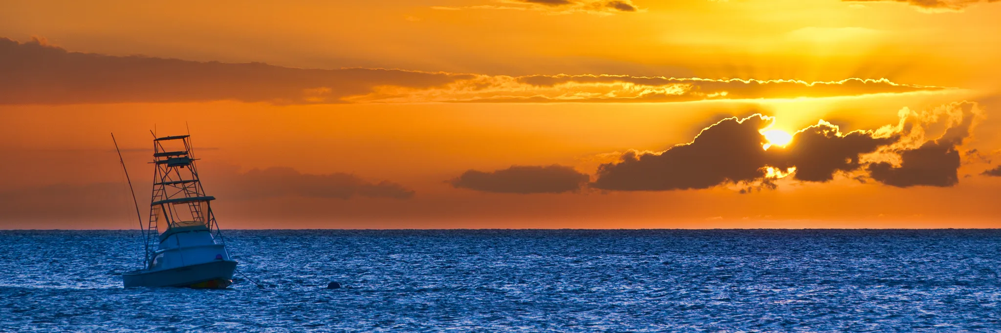 Australian National Sportsfishing Association 