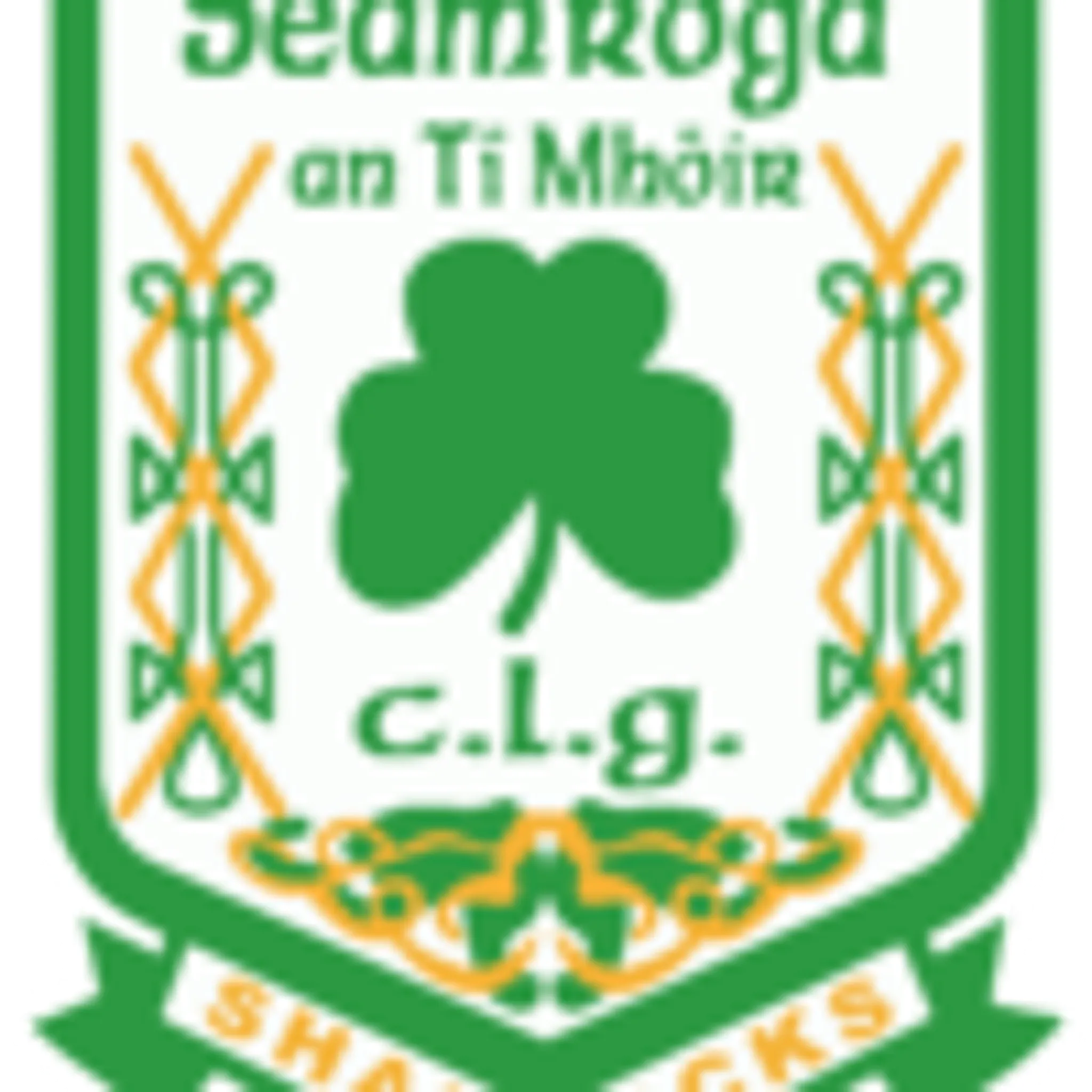 Teemore Shamrocks GAA