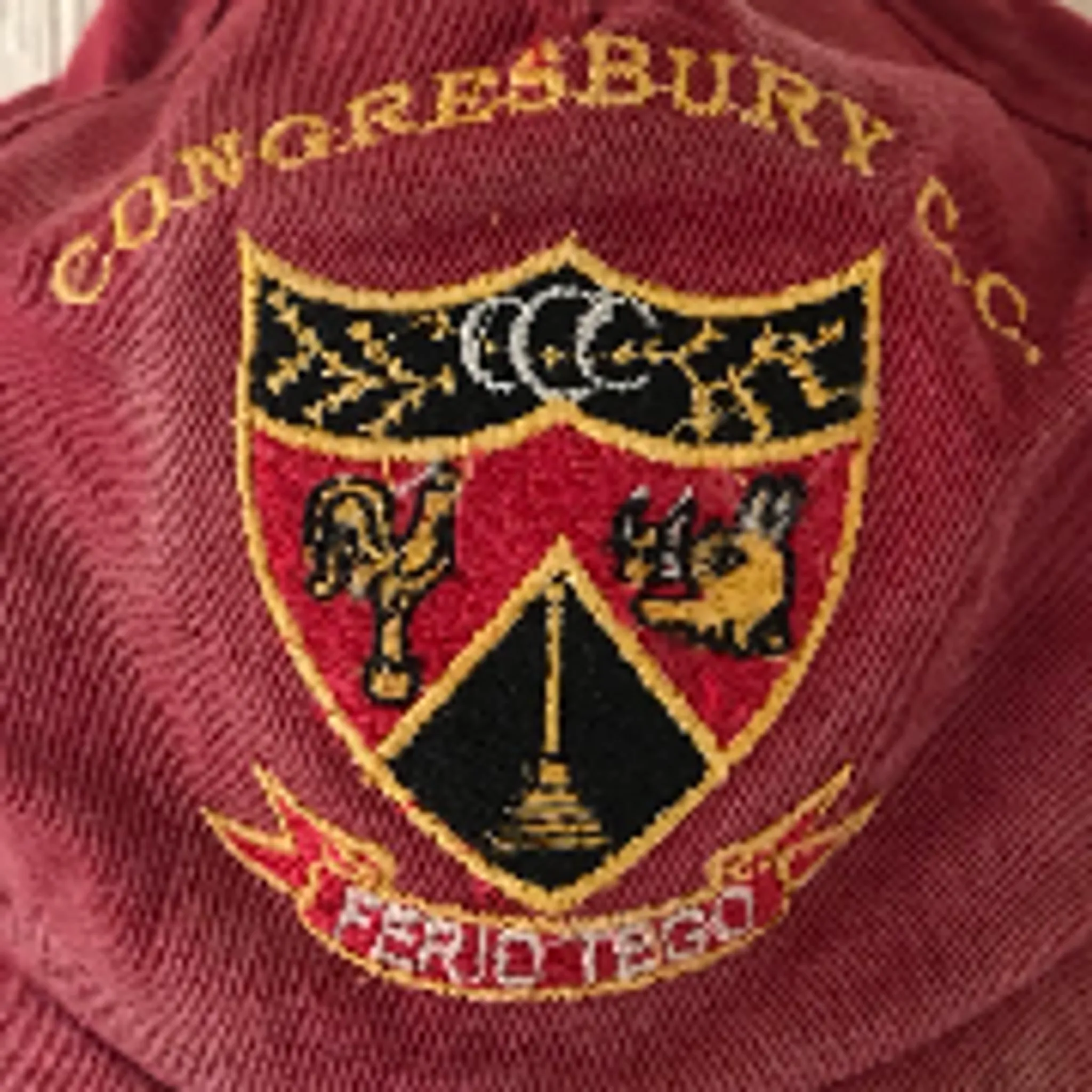 Congresbury Cricket Club