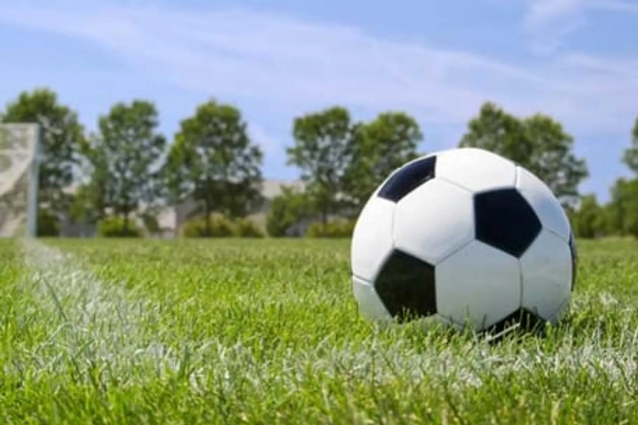 MILO Fantails Football Programme