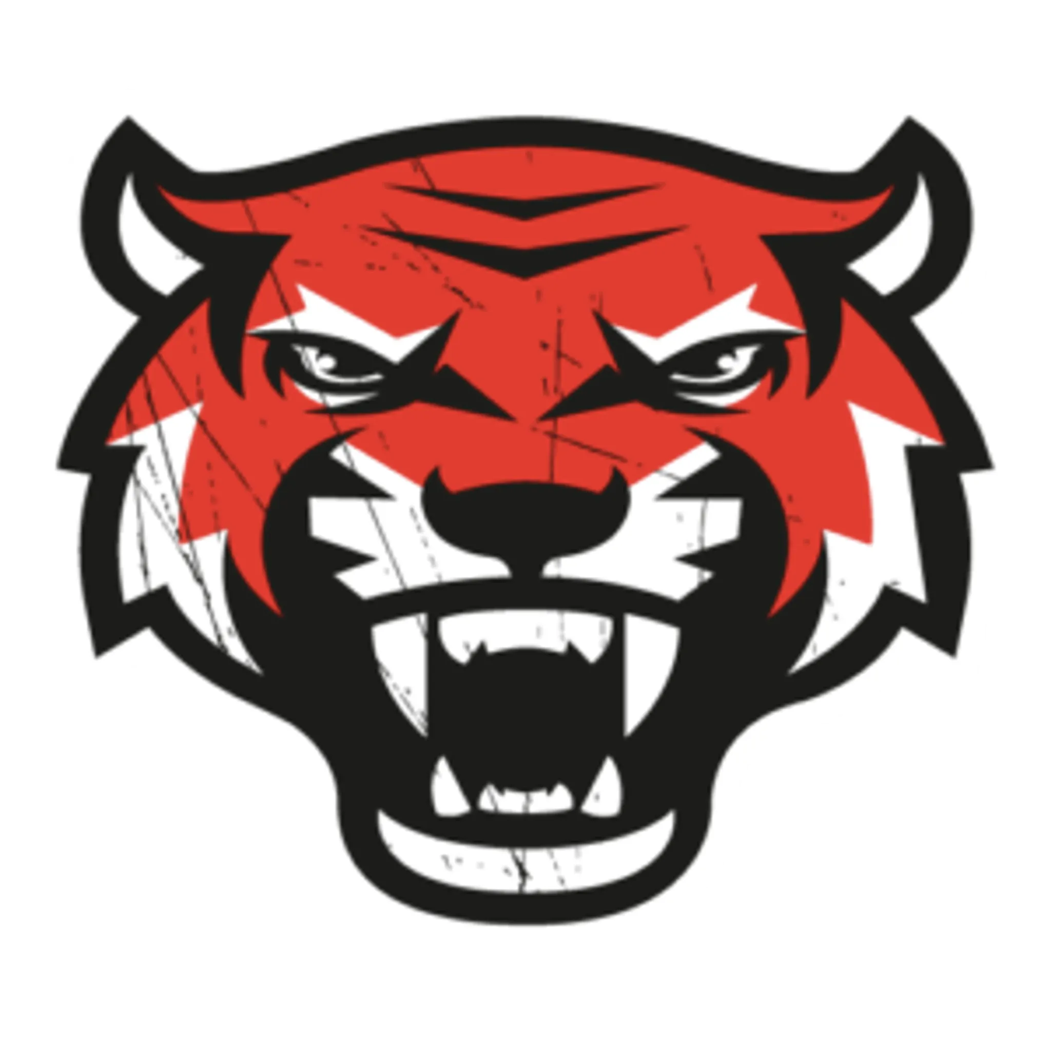 Cheltenham Tigers Rugby Football Club