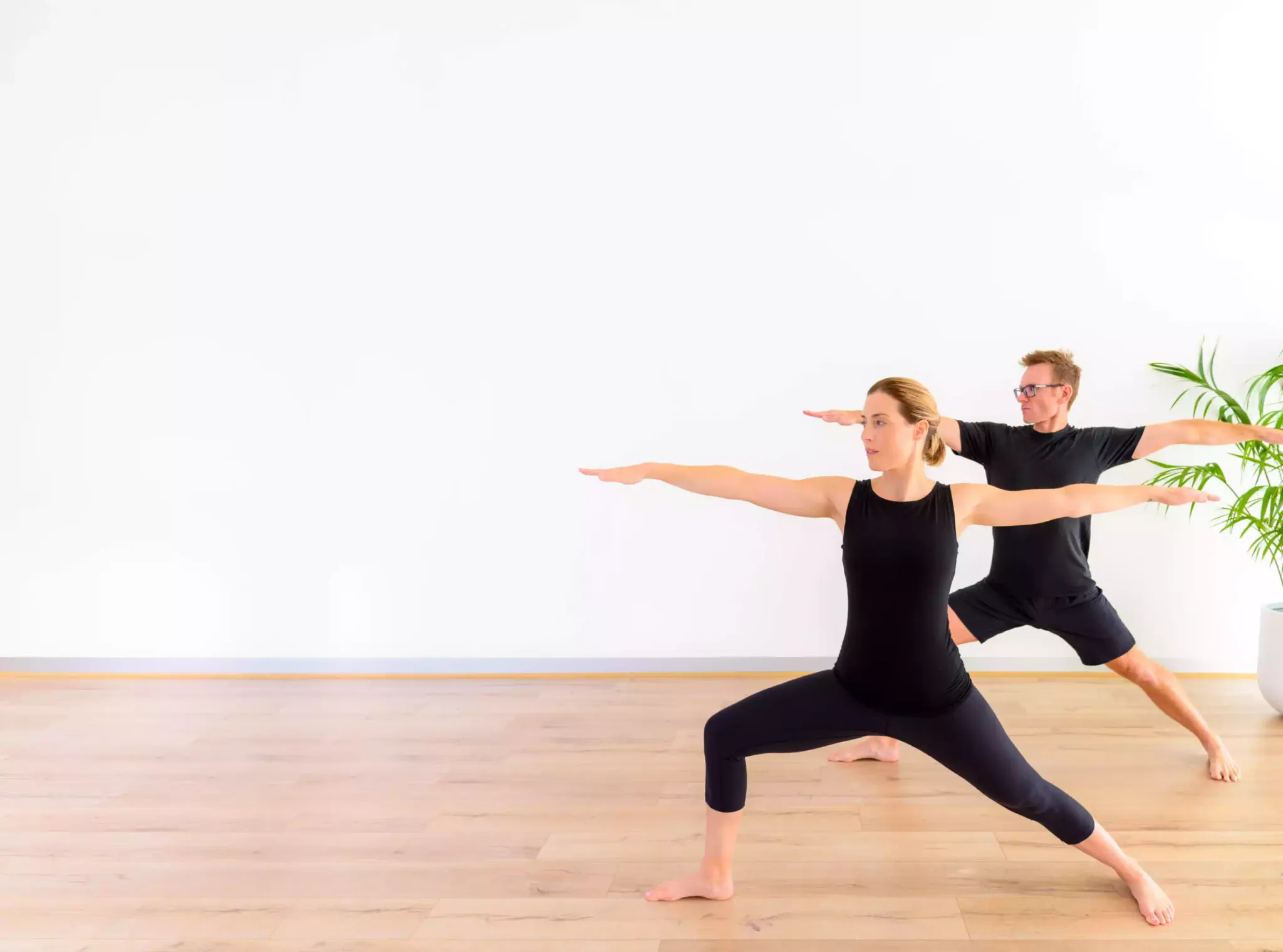 Yoga Classes at Western Wellness