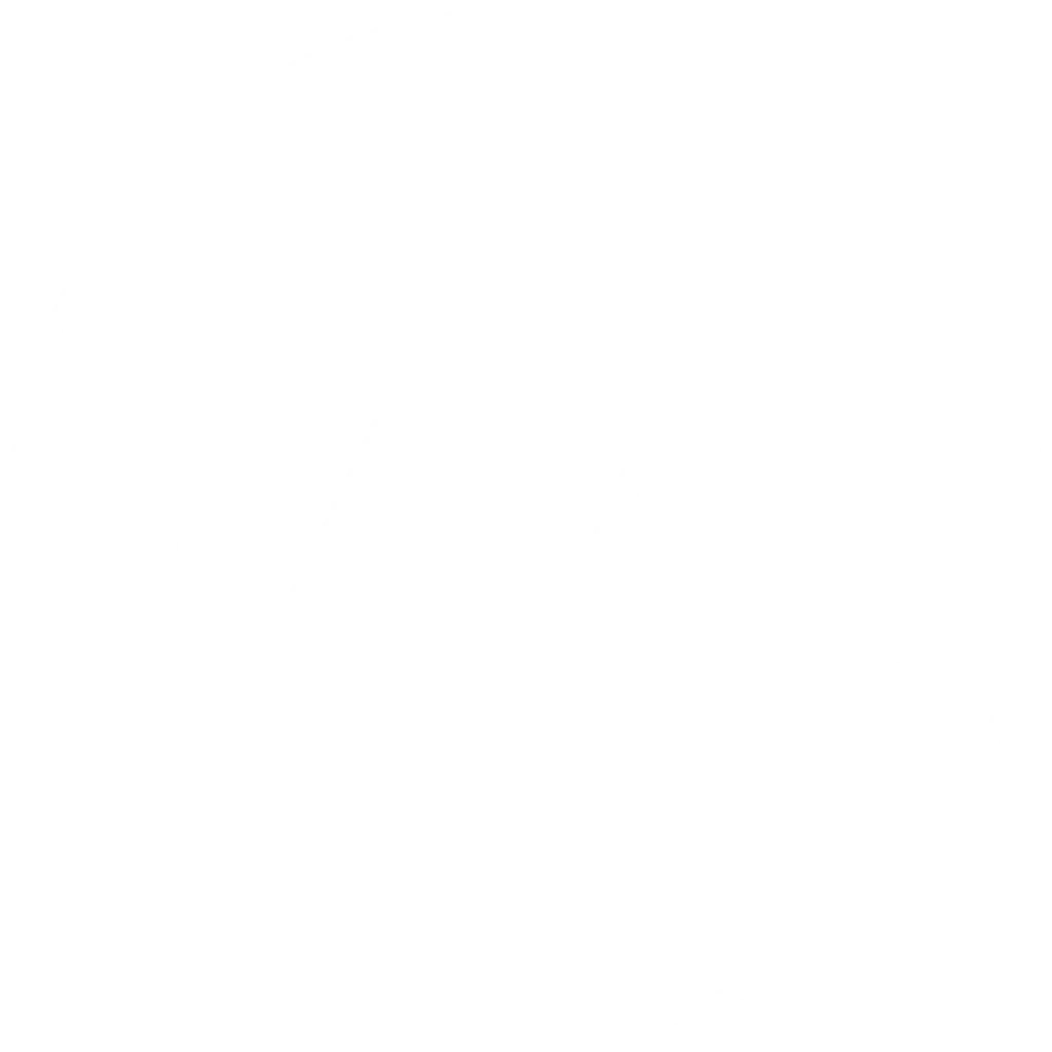 Movement Functional Fitness