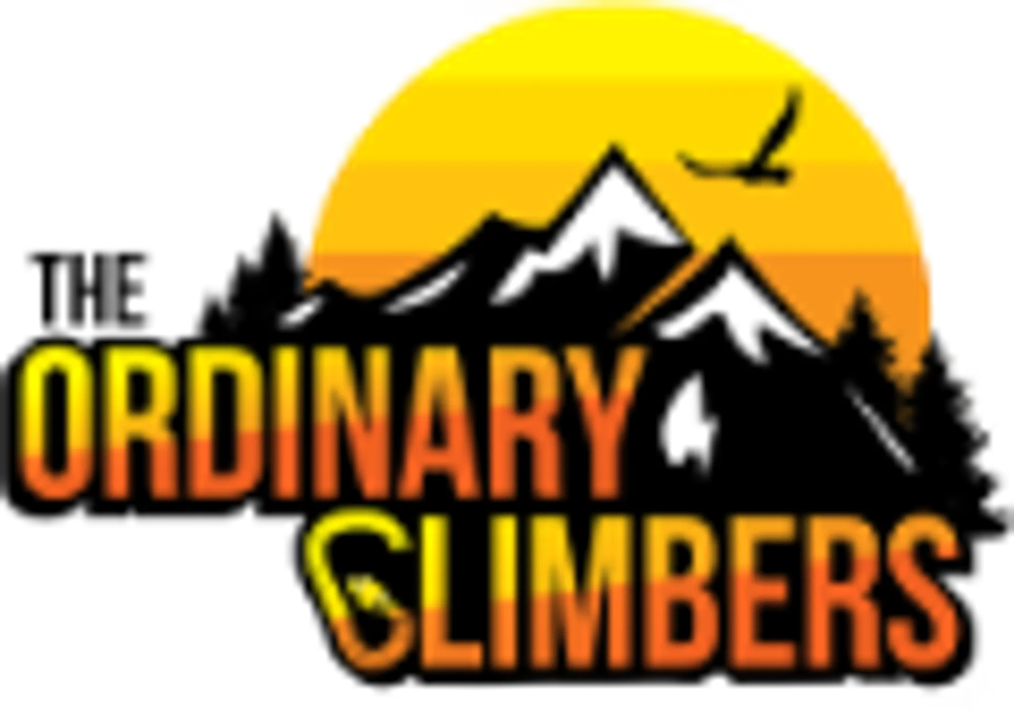 The Ordinary Climbers Rock Climbing Gym