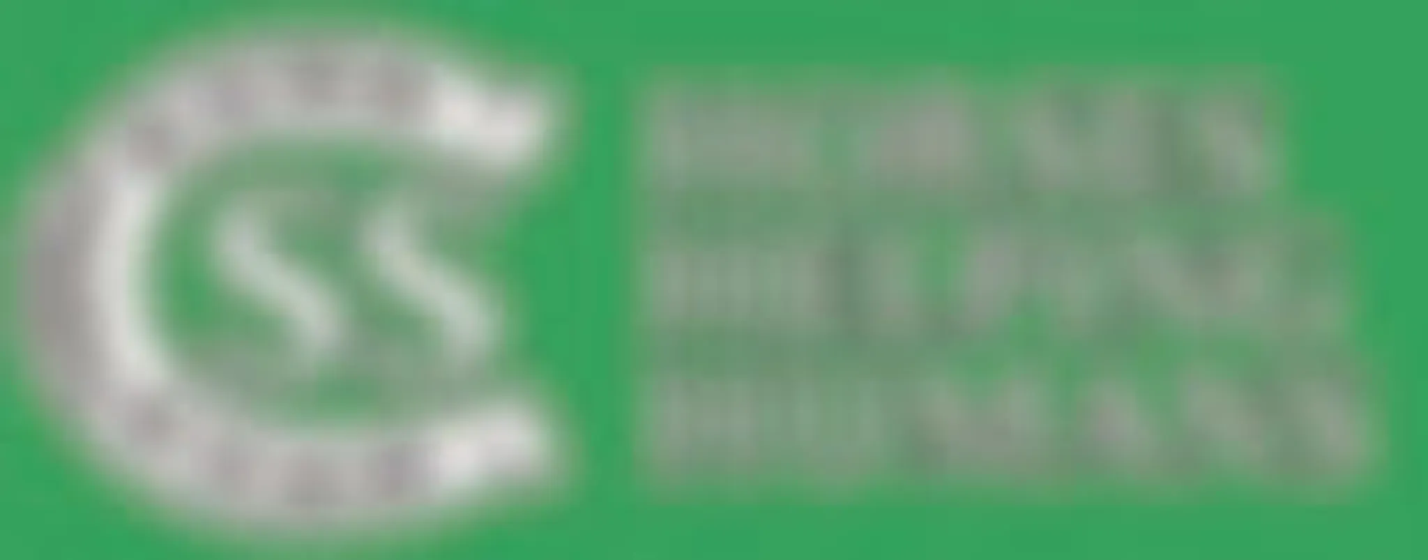 Scenic Rim Horse Riding