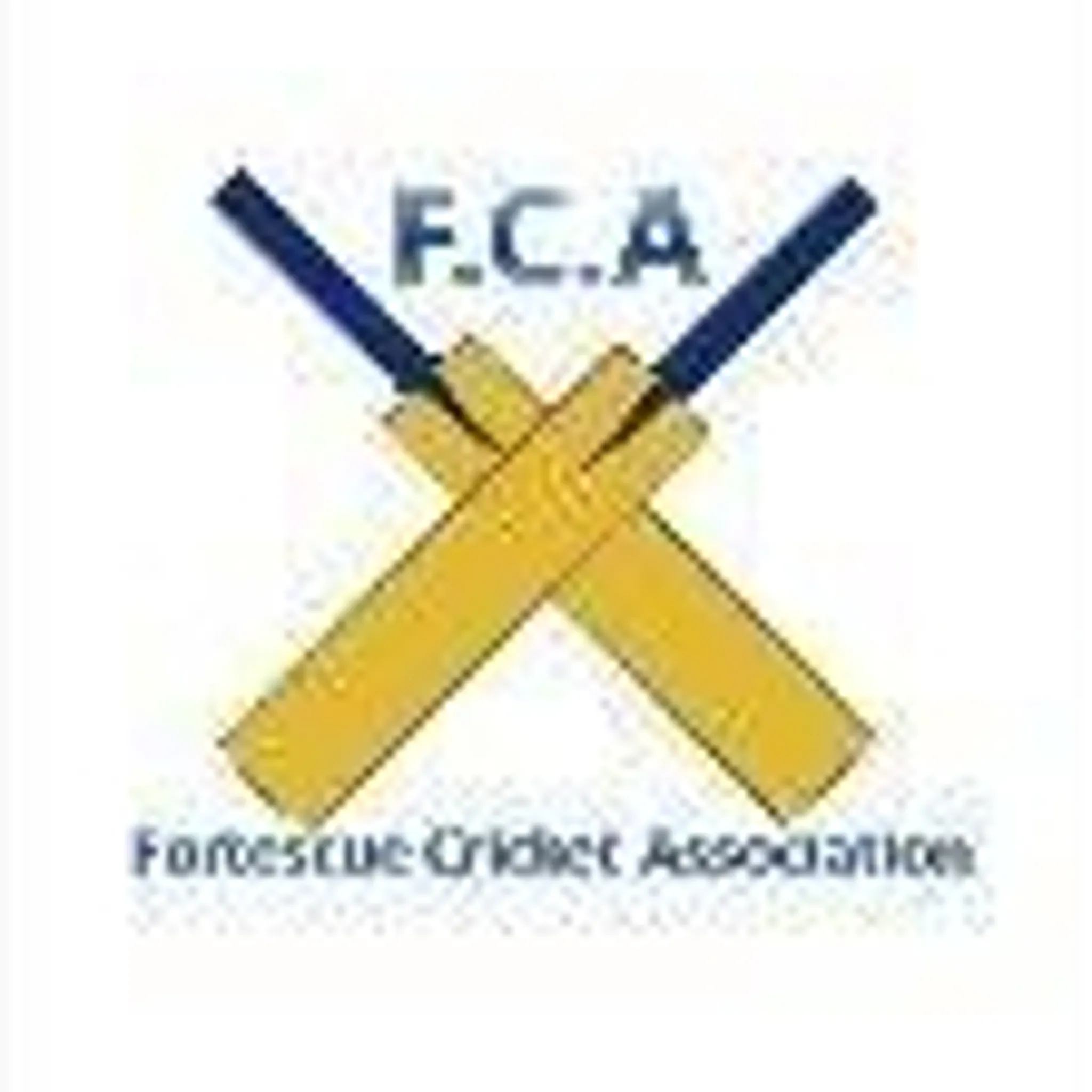 Fortescue Cricket Association (FCA)