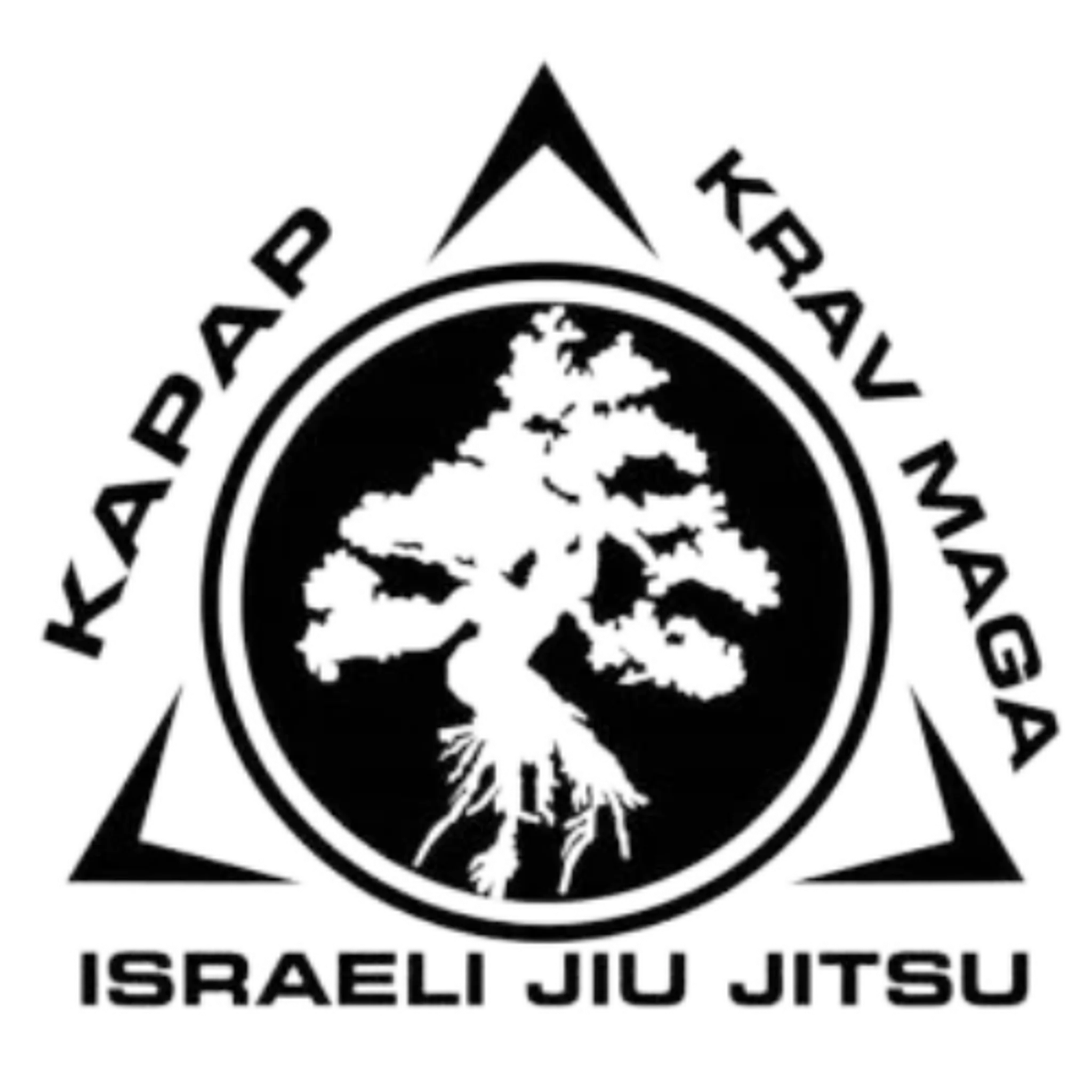 Krav Maga Classes Liverpool