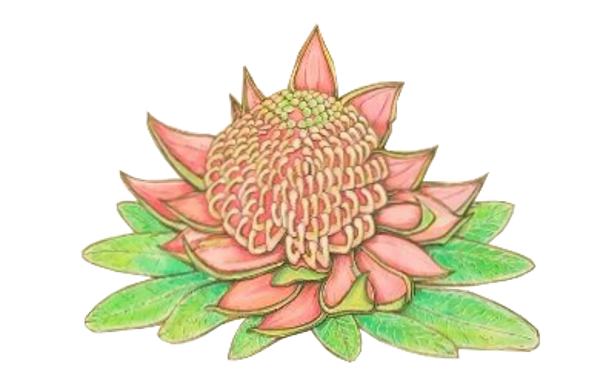 Noosa Hinterland Yoga