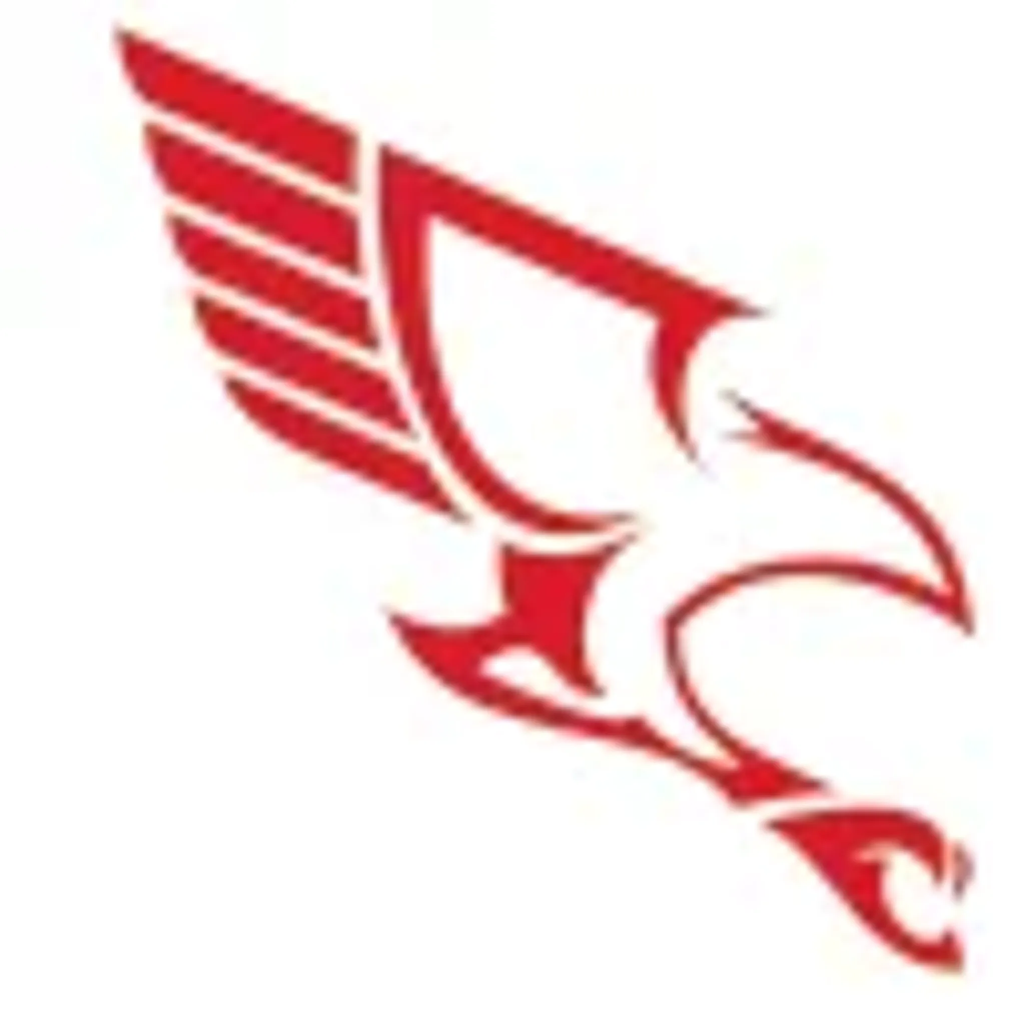 l’AS Aiglon Auxonne