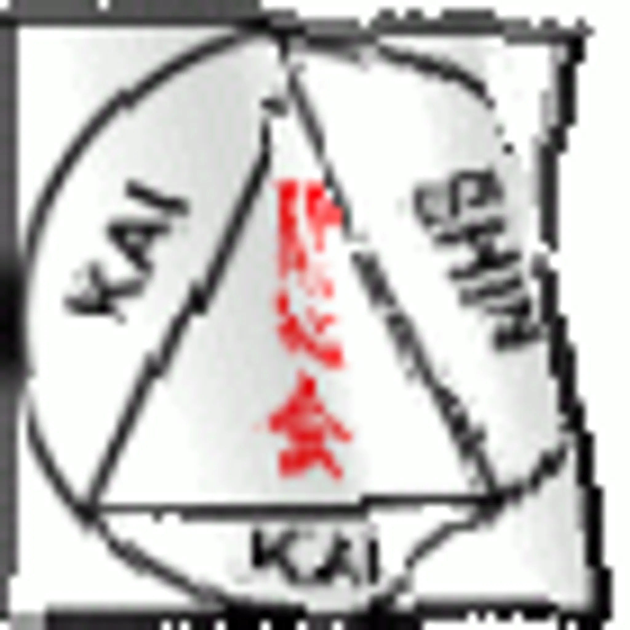 Aylesbury K S K Aikido Club