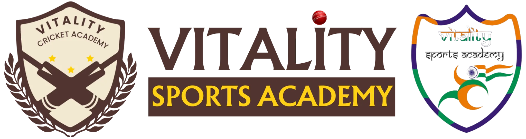 Vitality Cricket Academy | Best Cricket Academy in Faridabad
