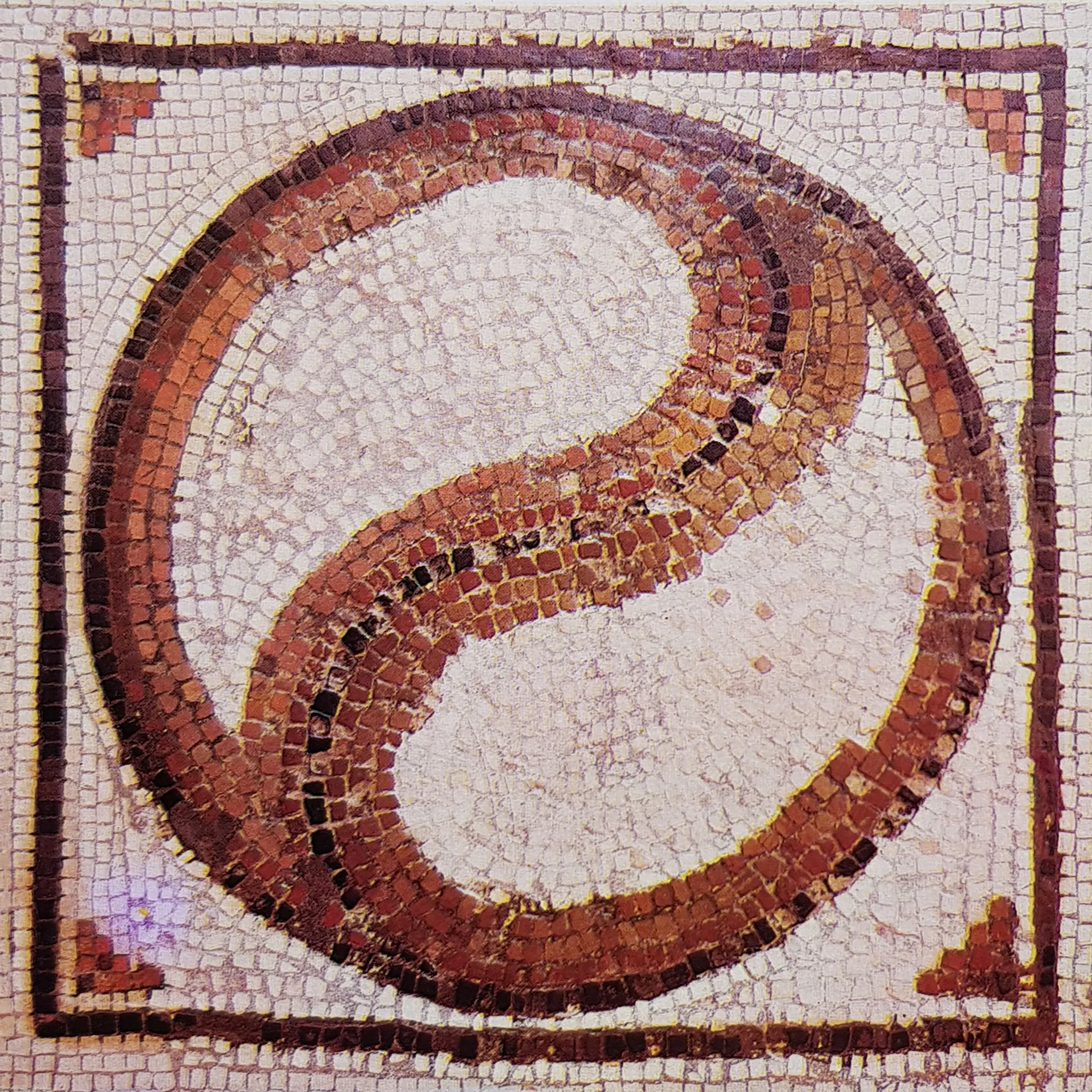 Alignment Tai Chi Chuan -