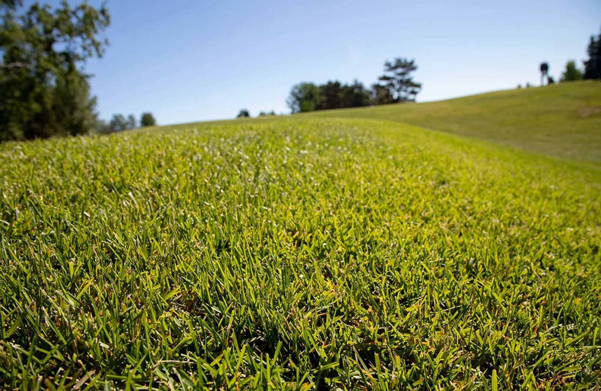 Chaleur Chamber of Commerce Tournament