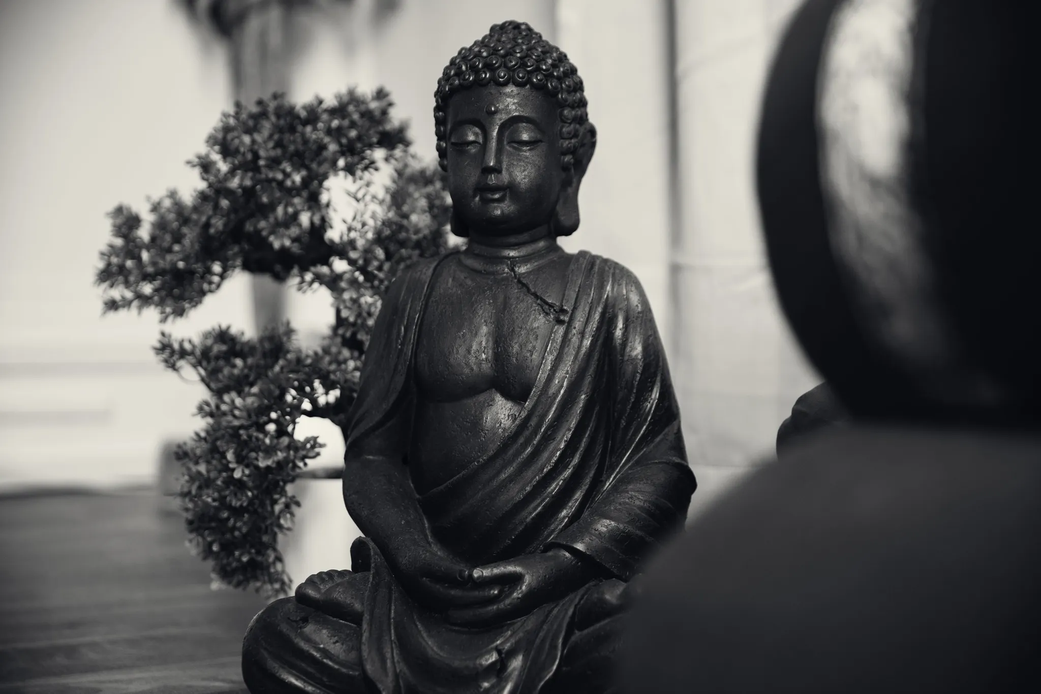 OCTOBER 2024 RETREAT SEASIDE YOGA MEDITATION RETREAT