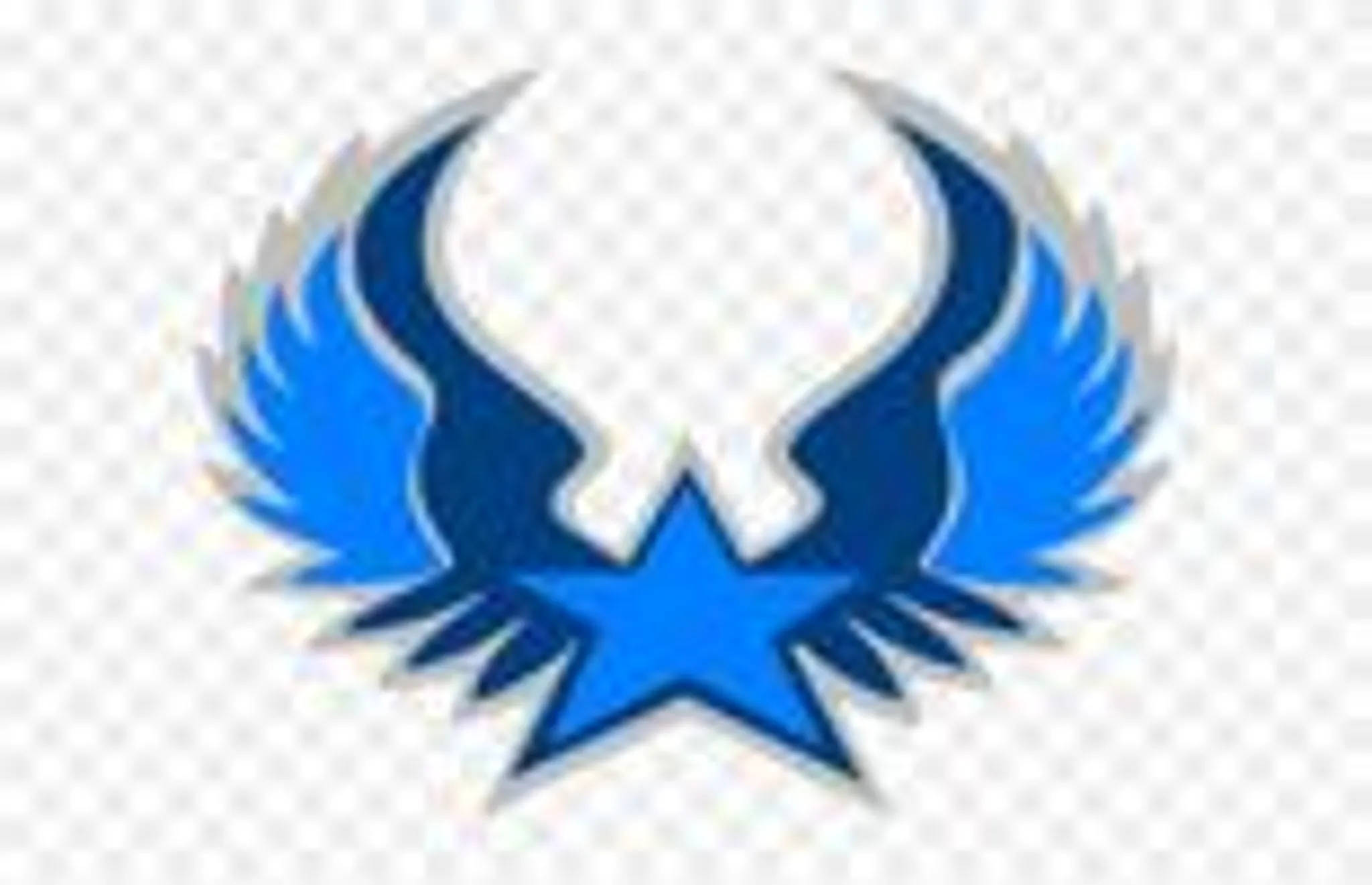 SMR CRICKET ACADEMY (SWIC) BEST CRICKET ACADEMY IN GAZIABAAD