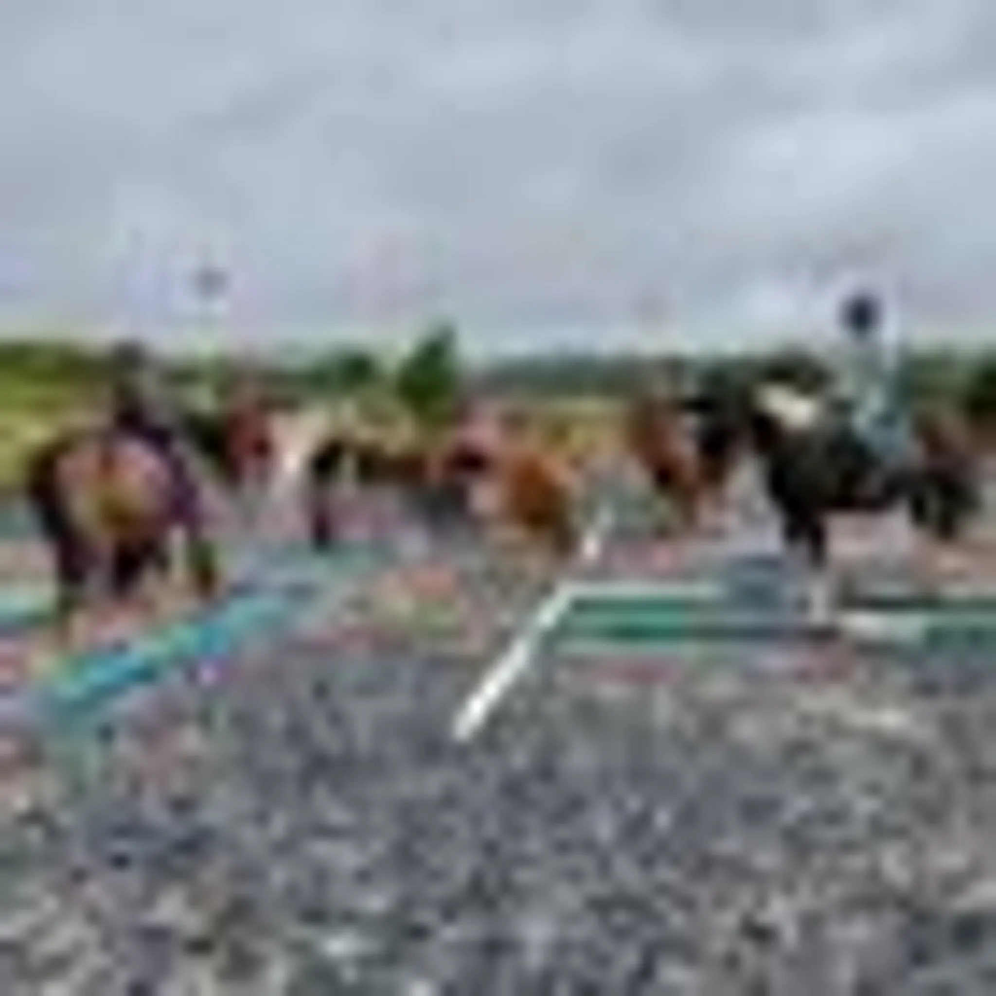 Happy Hooves Sanquhar C.I.C