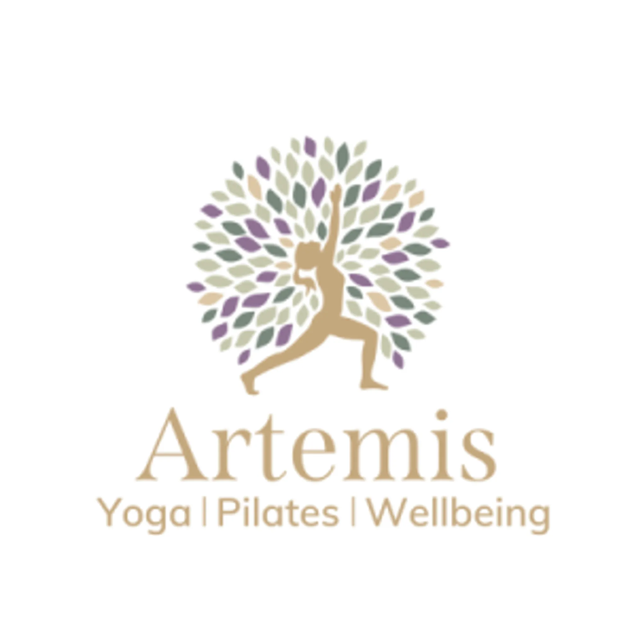 Artemis Yoga, Pilates & Wellbeing Studio
