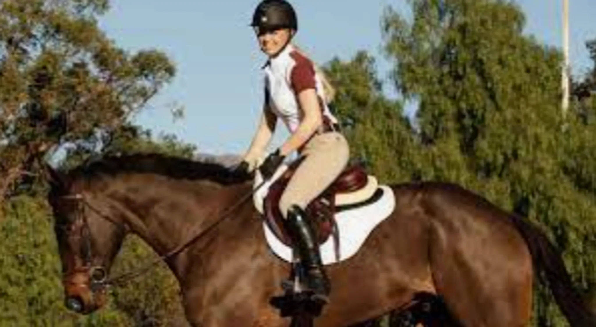 Camp Équitation Avancé - 11 à 16 ans