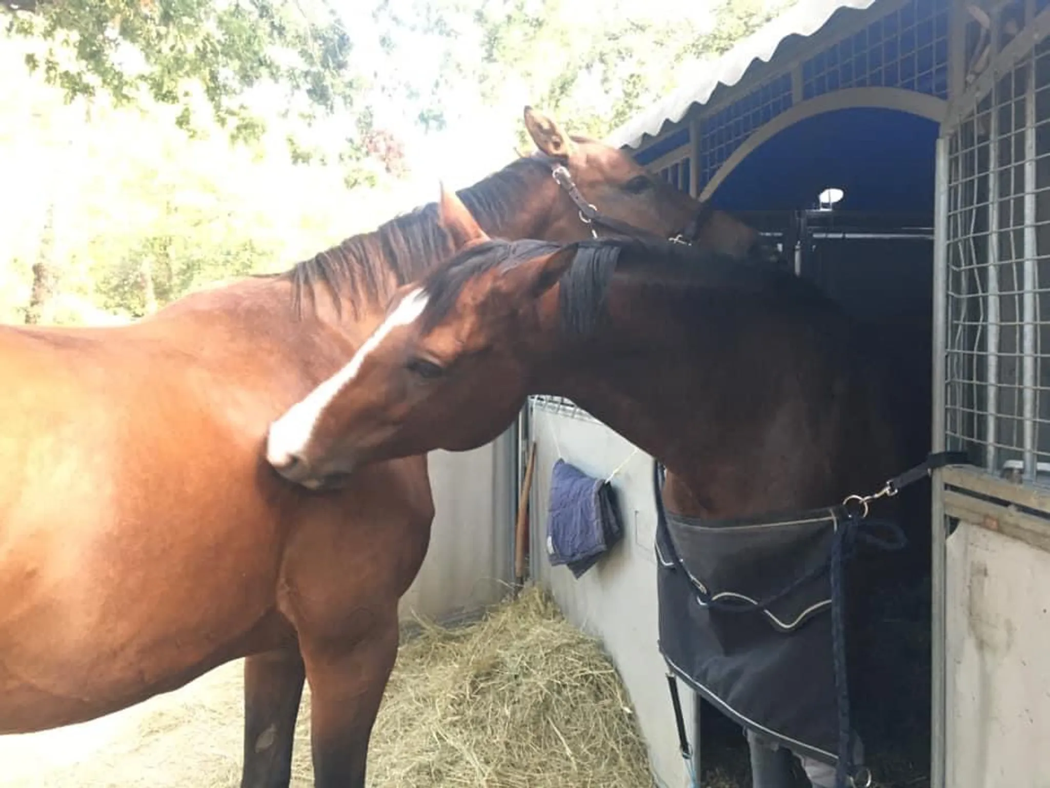 CLUB HIPPIQUE SOUILLAGAIS