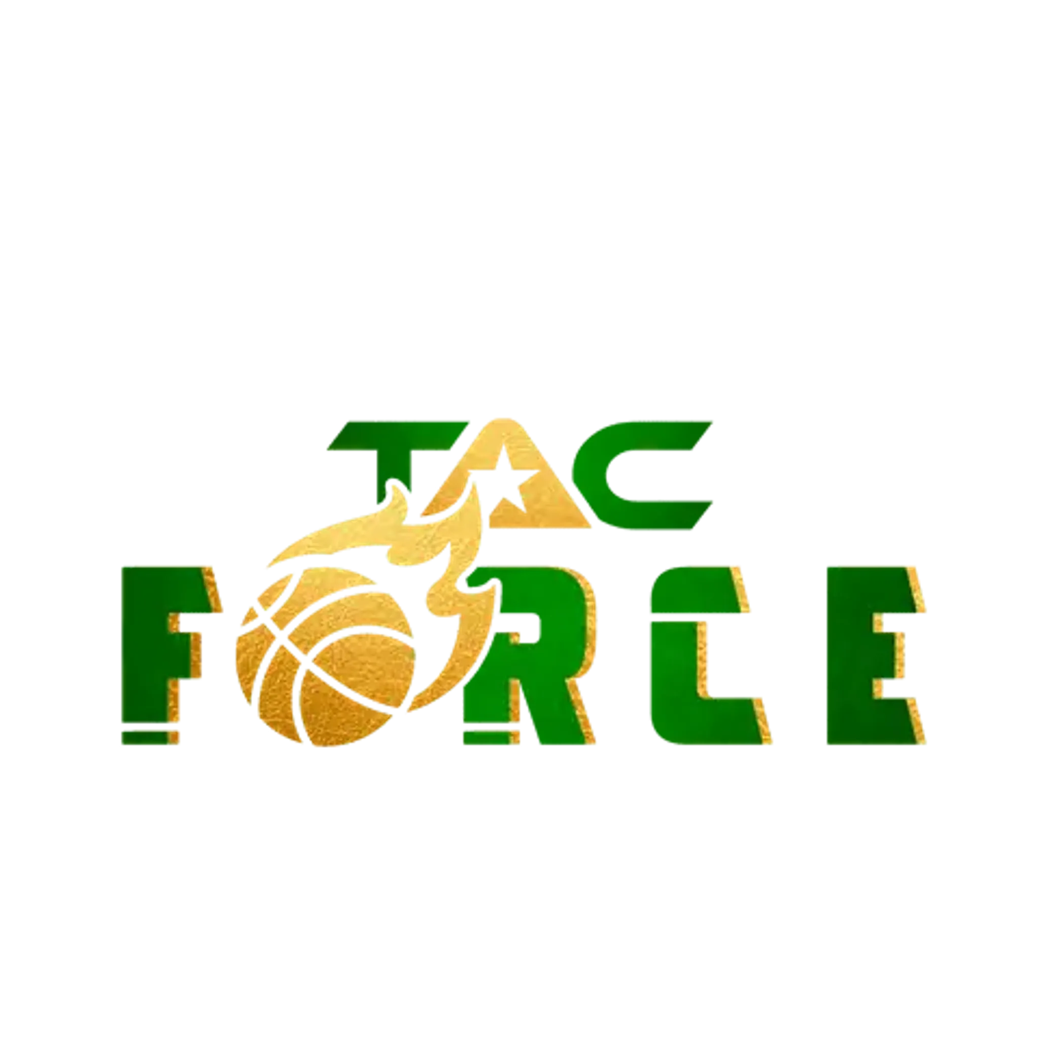 TAC Force Basketball Academy