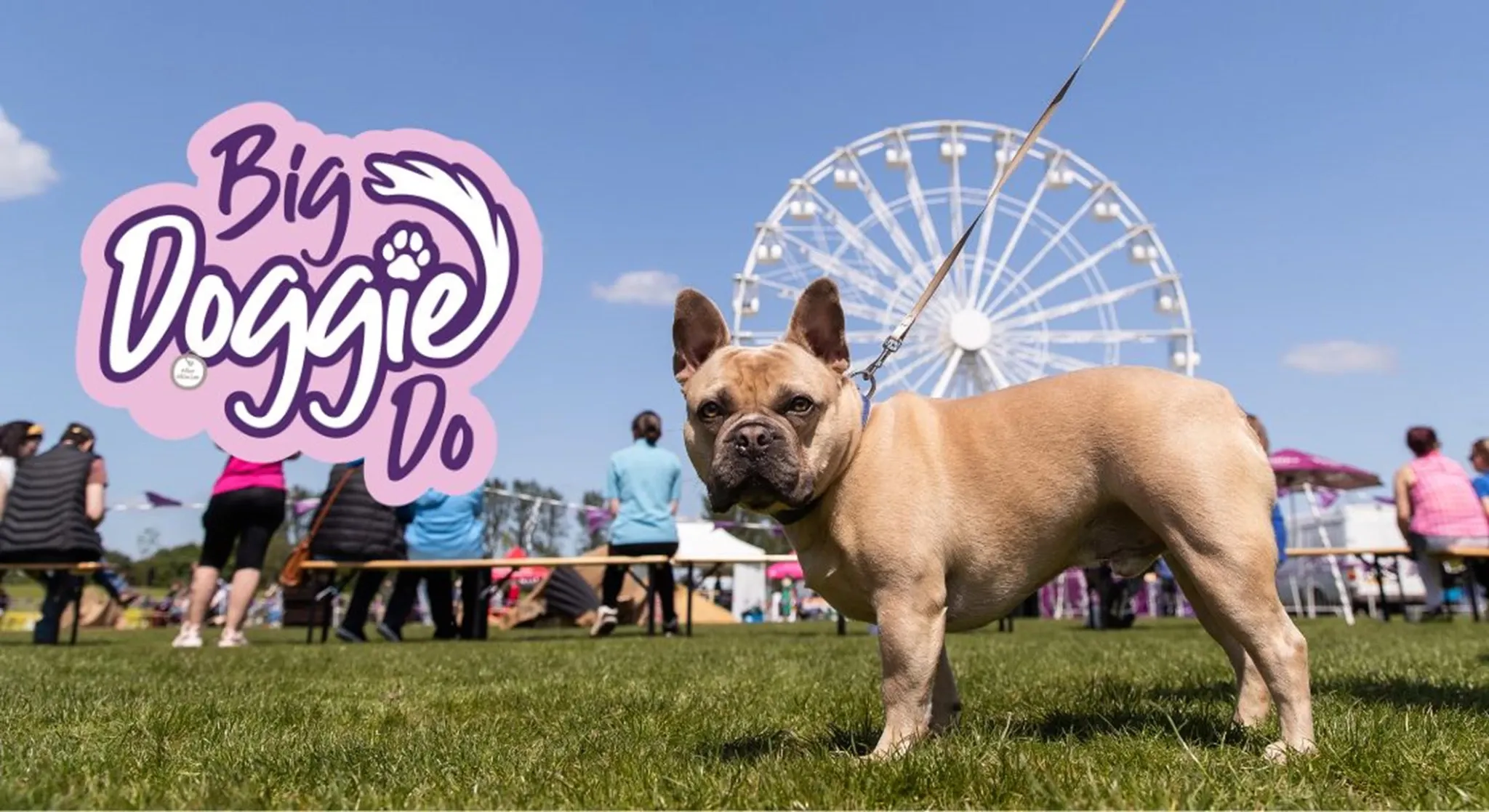 Campbell Park - Cricket Ground