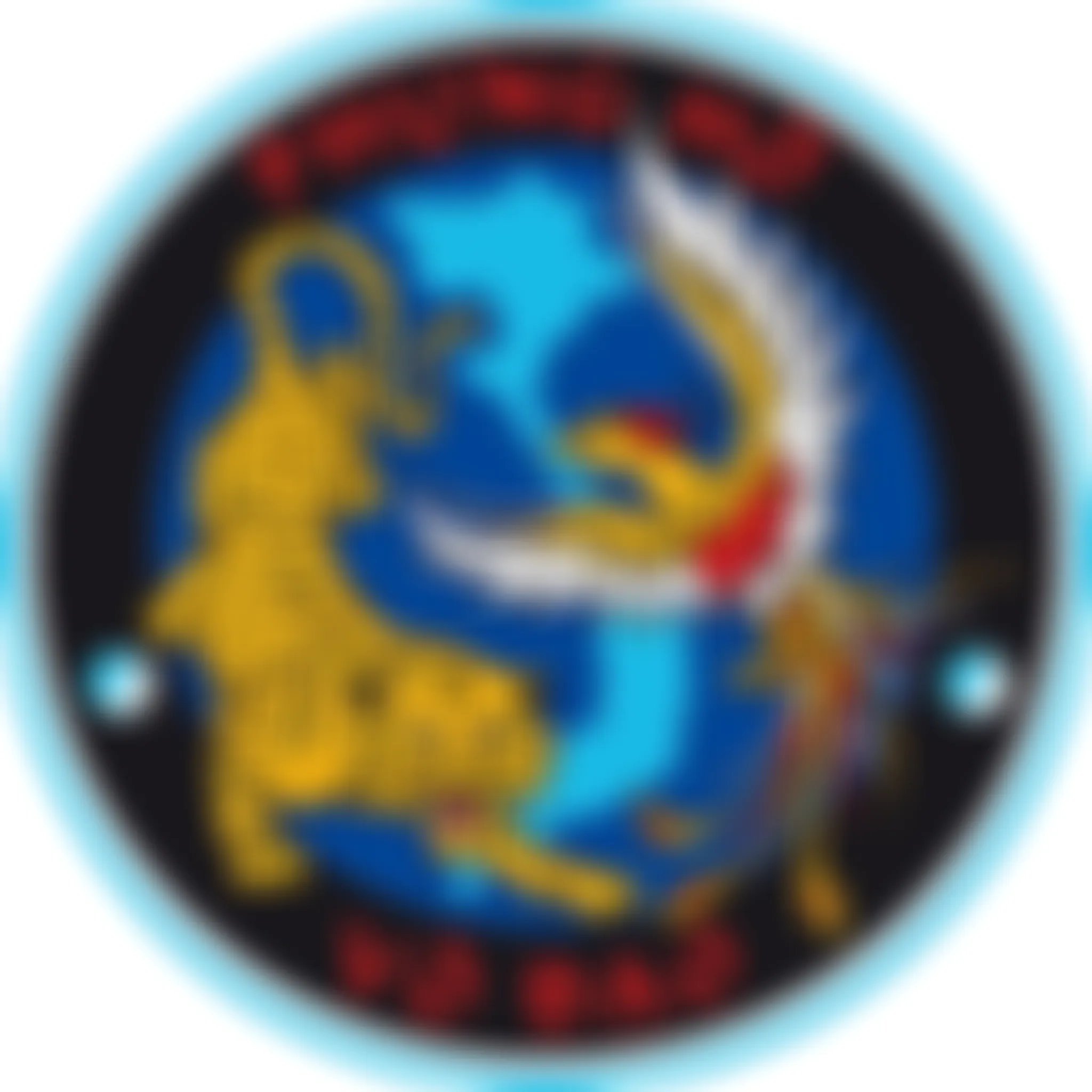 Ecole D'arts Martiaux Vietnamiens Stéphane Gaudard