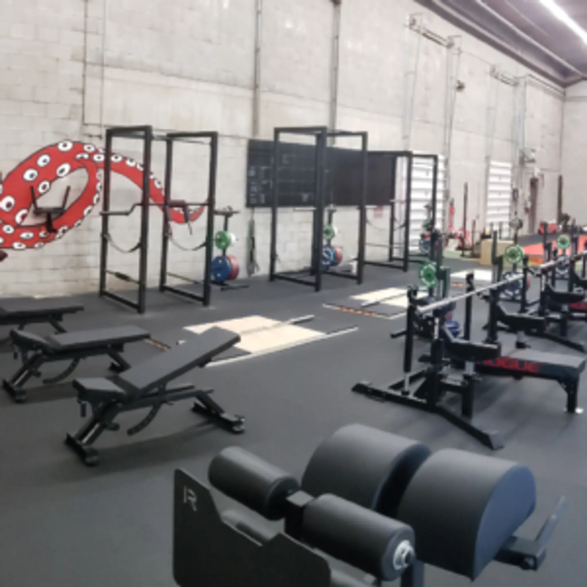 Infinite Martial Arts & Fitness