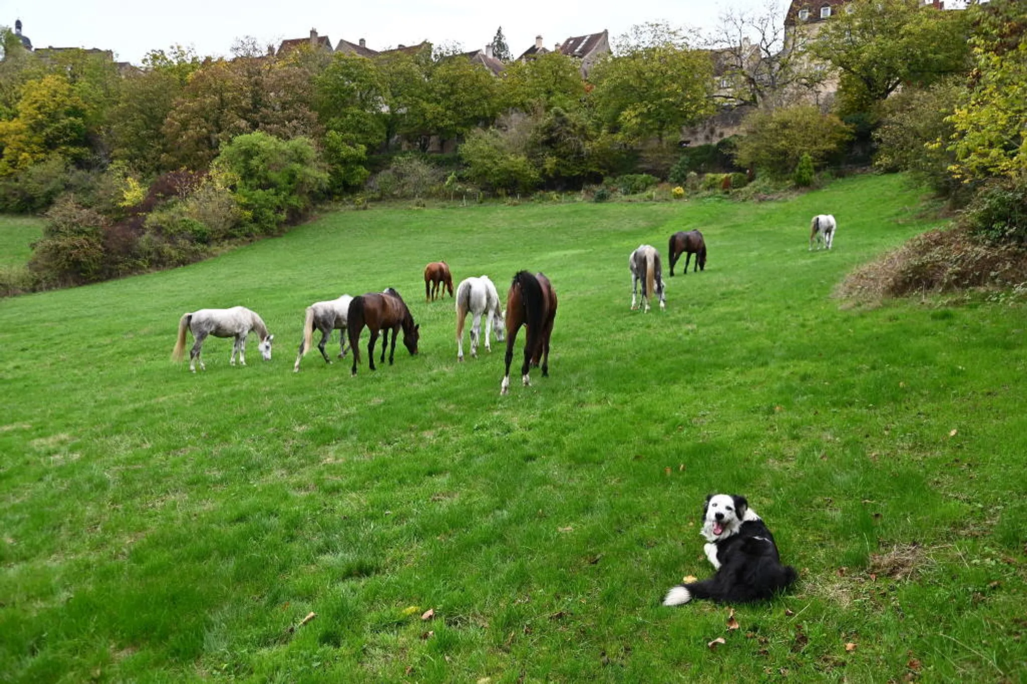 Randonnée liberté dans le Morvan