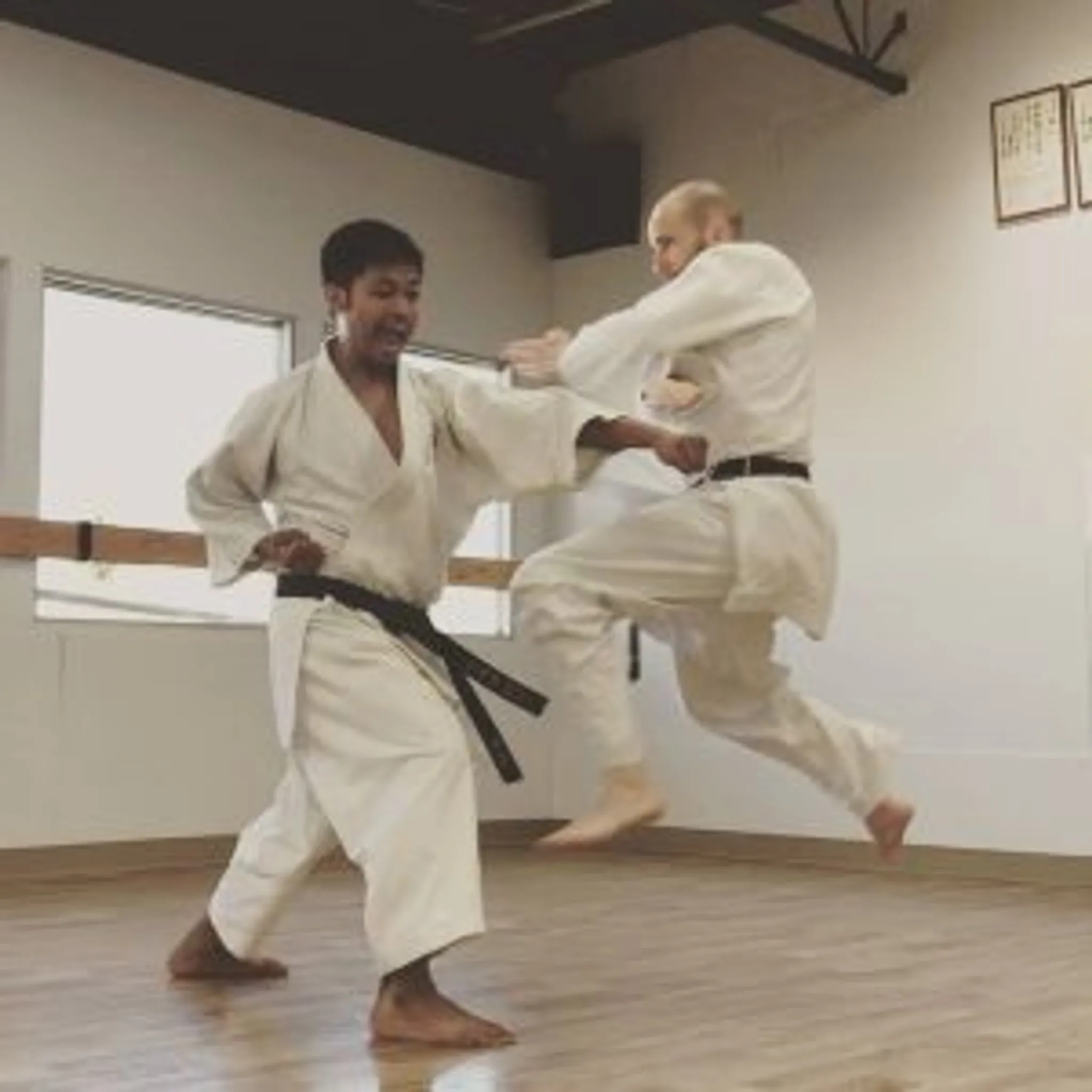 Shi-Ku-Kai Karate Class