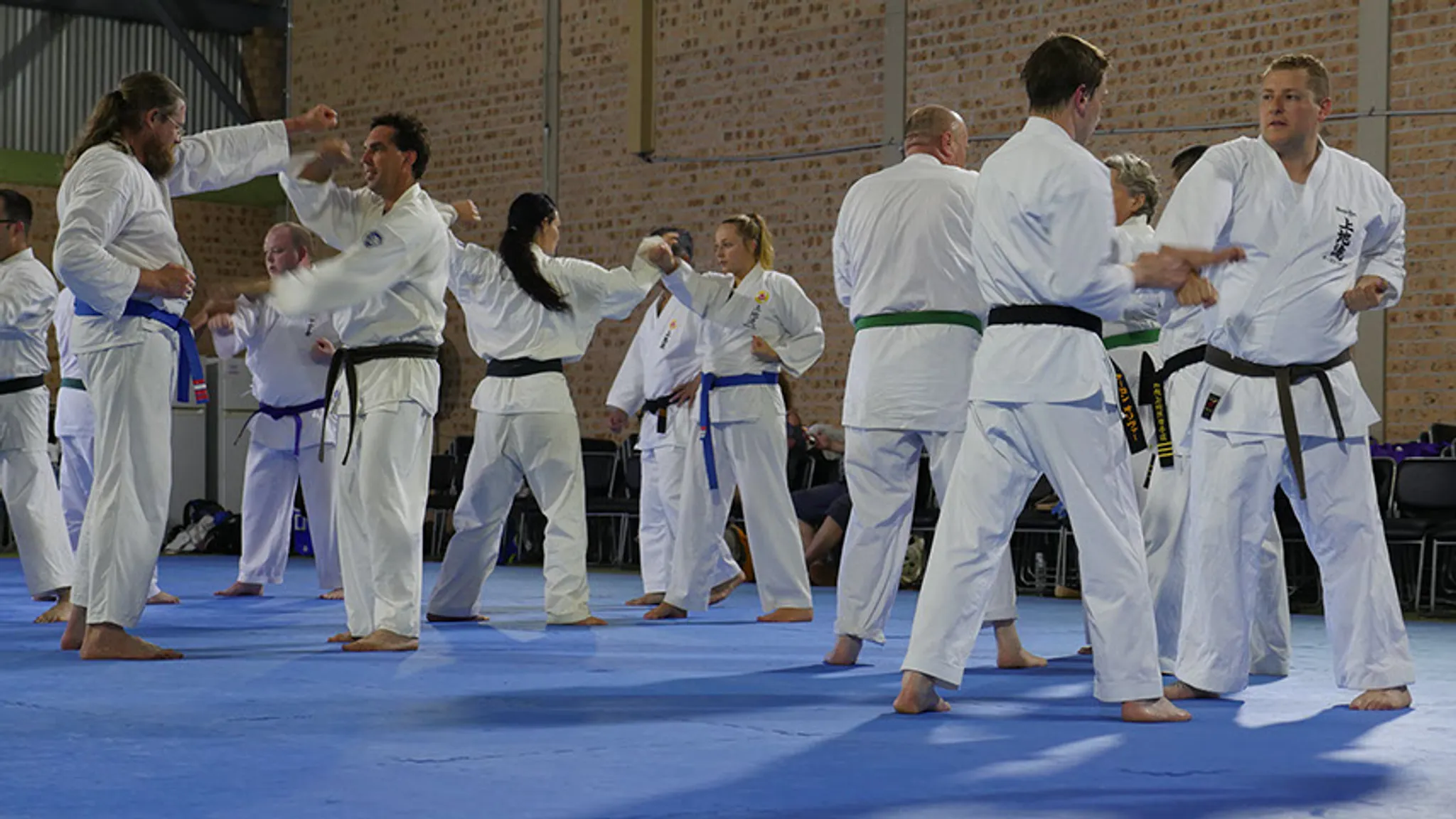 Uechi Ryu Karate Do Australia