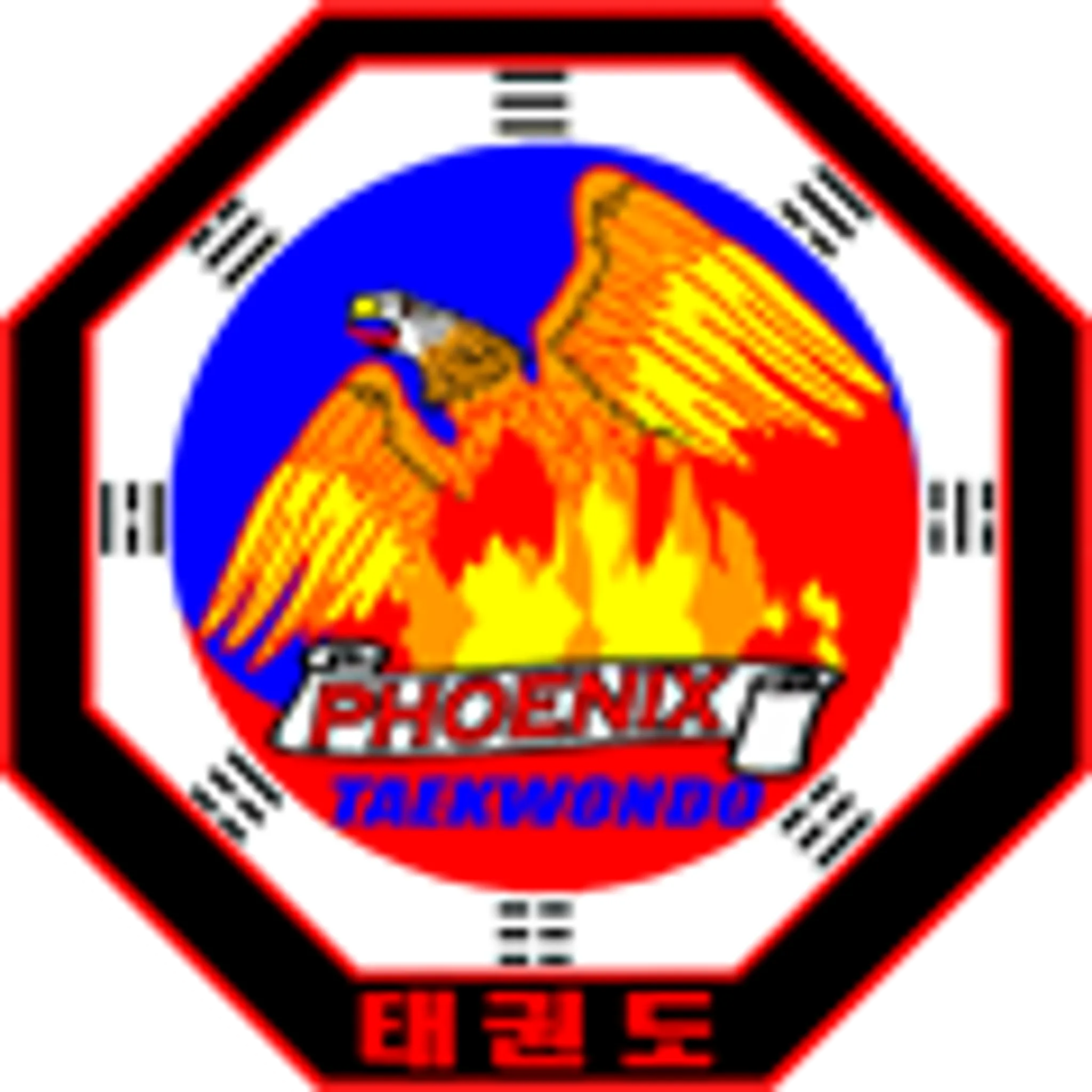 Phoenix Taekwondo School