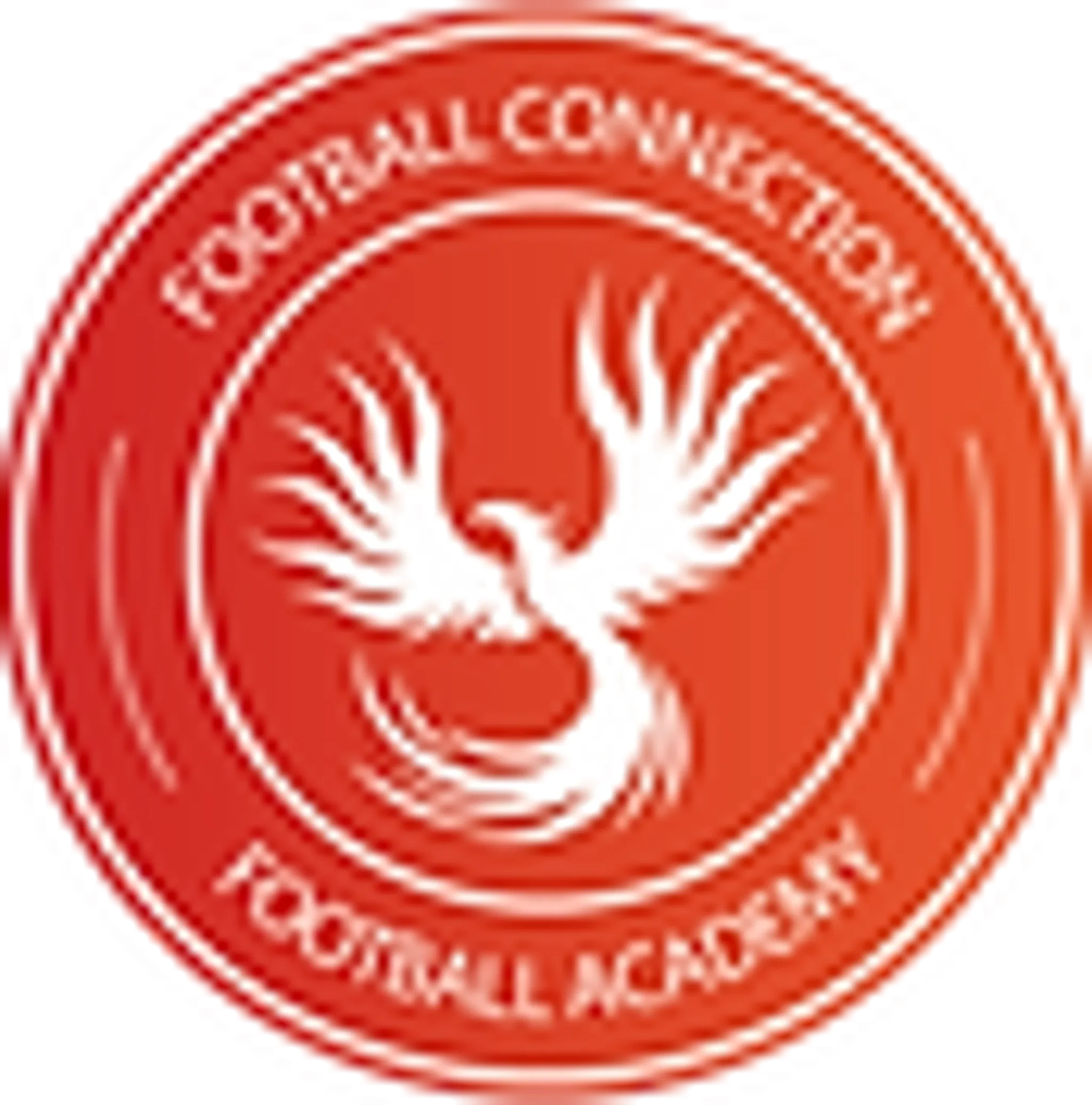 Football Connection Academy & iGym Football Club