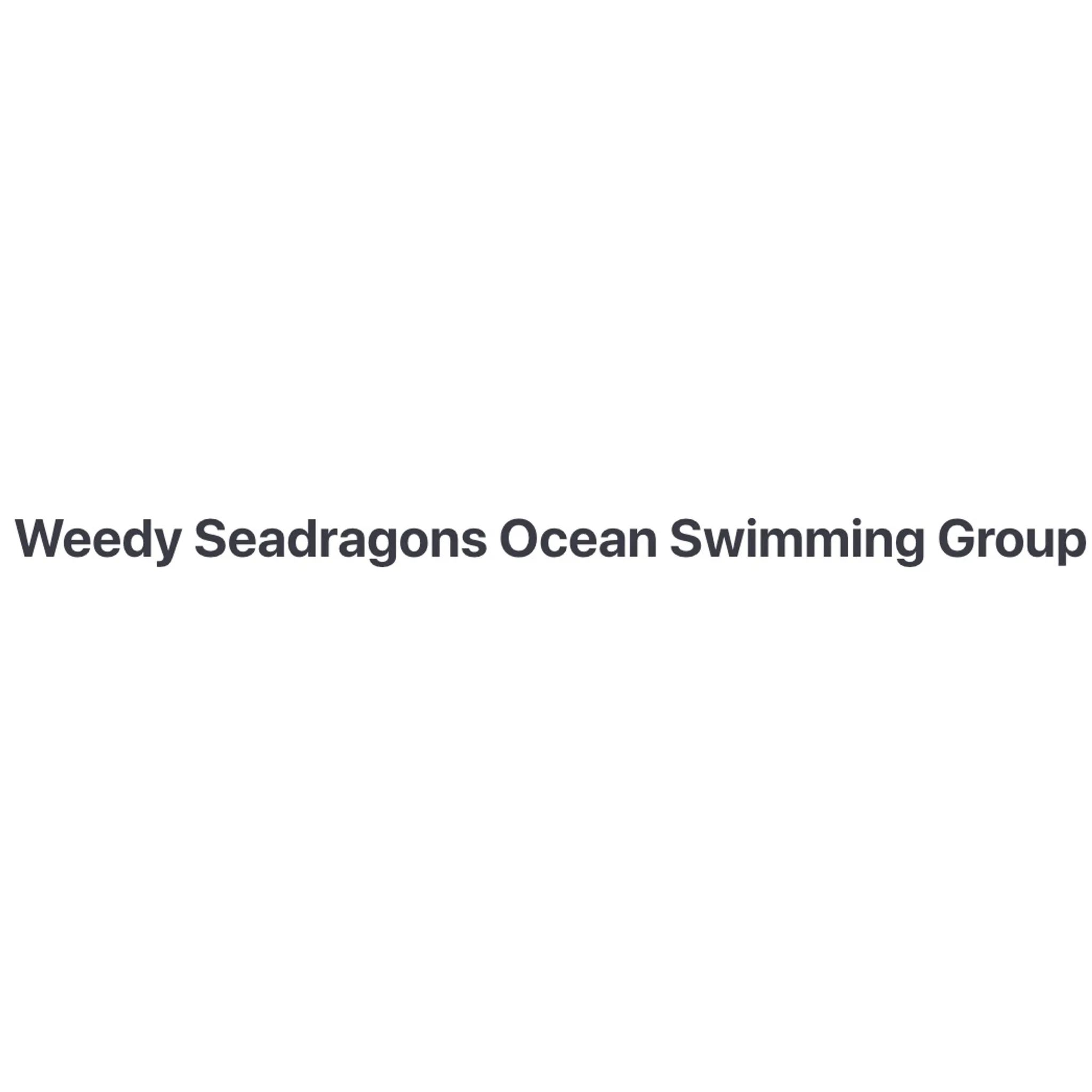 Weedy Seadragons Ocean Swimming Group