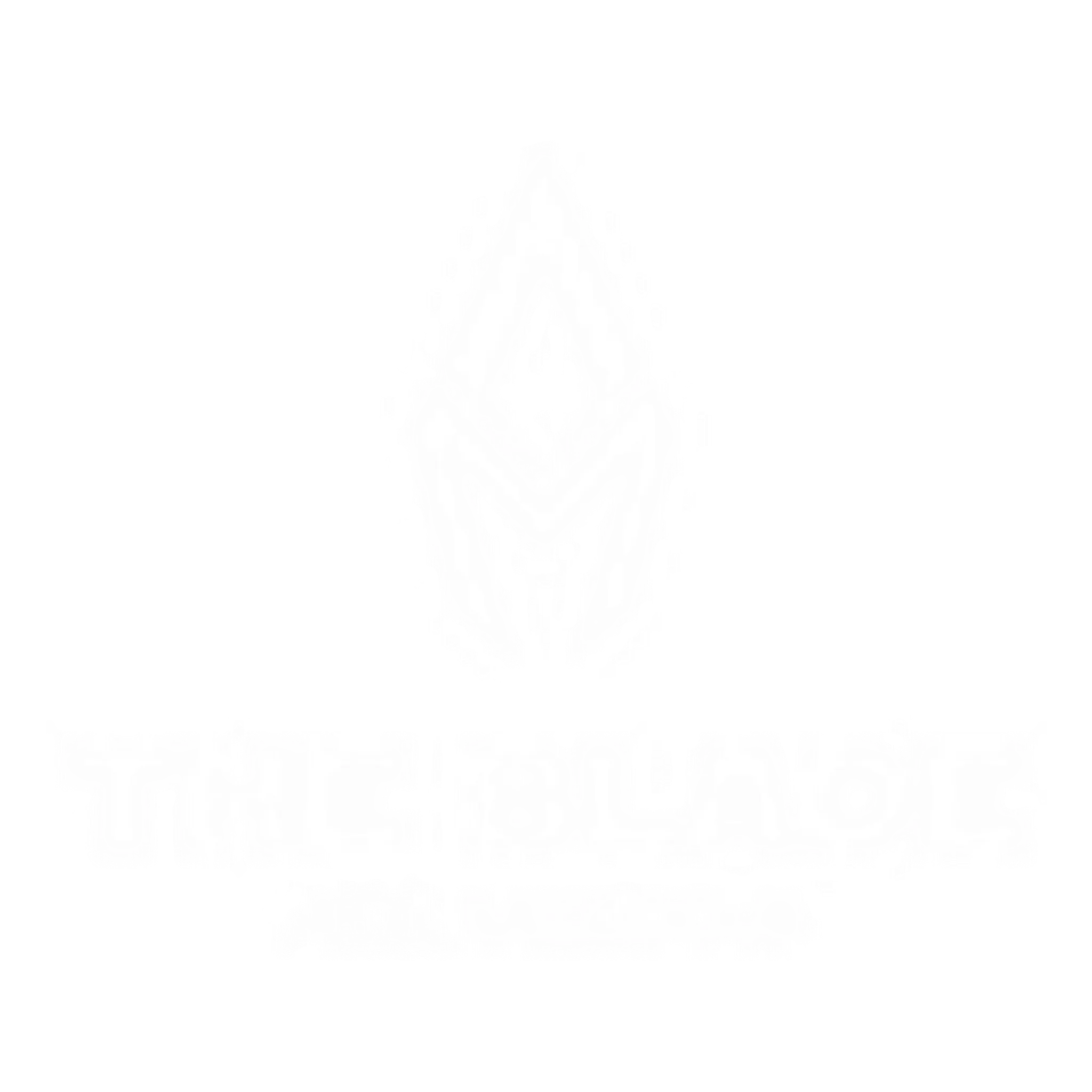 Abdel Medjedoub Montral Entraineur Personnel / Trainer Private / Personal Trainer