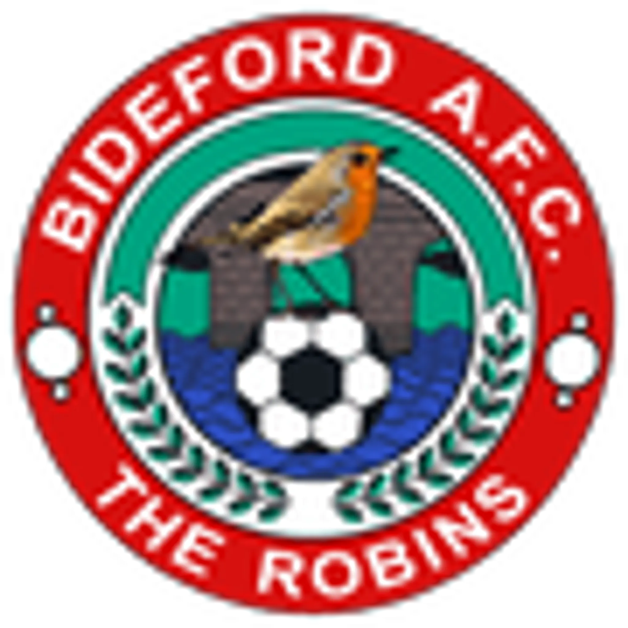 Bideford Association Football Club