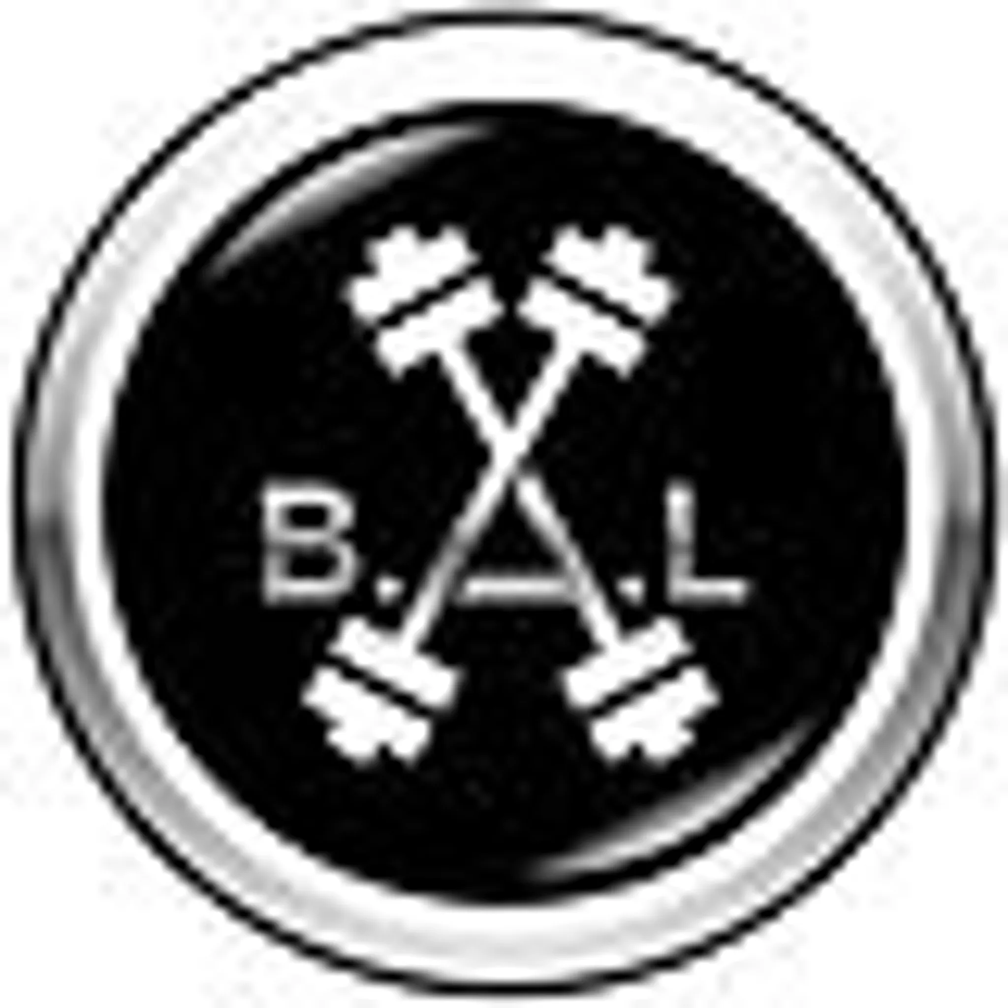 B.A.L (Building Athletic Lifestyles)