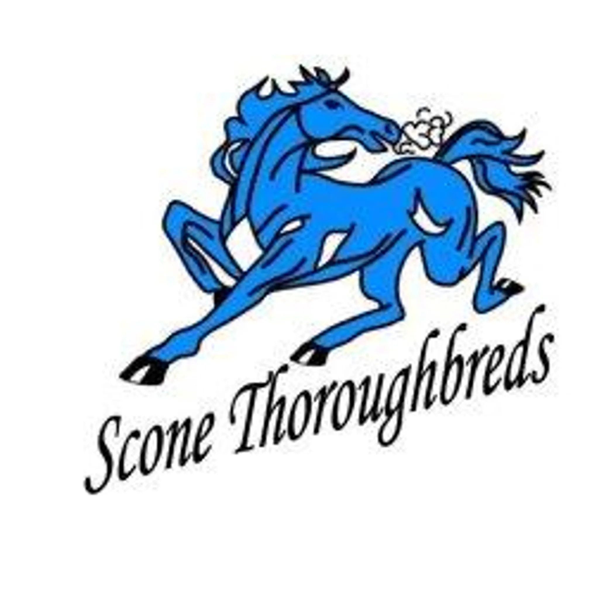 Scone Rugby League Football Club Inc. (Hunter Valley Group 21 RL)