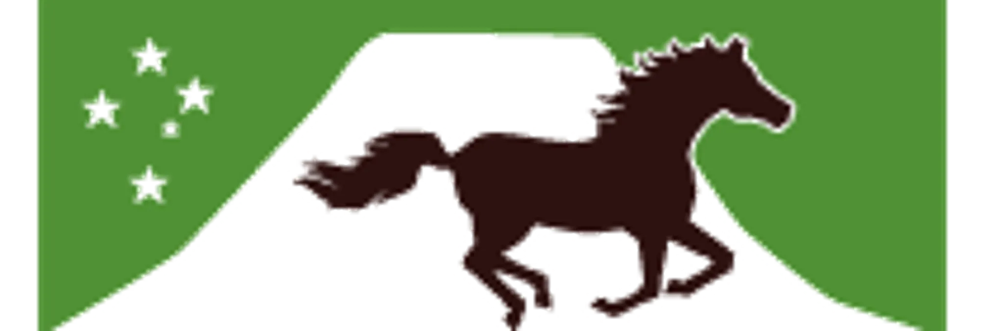 Southern Cross Horse Treks