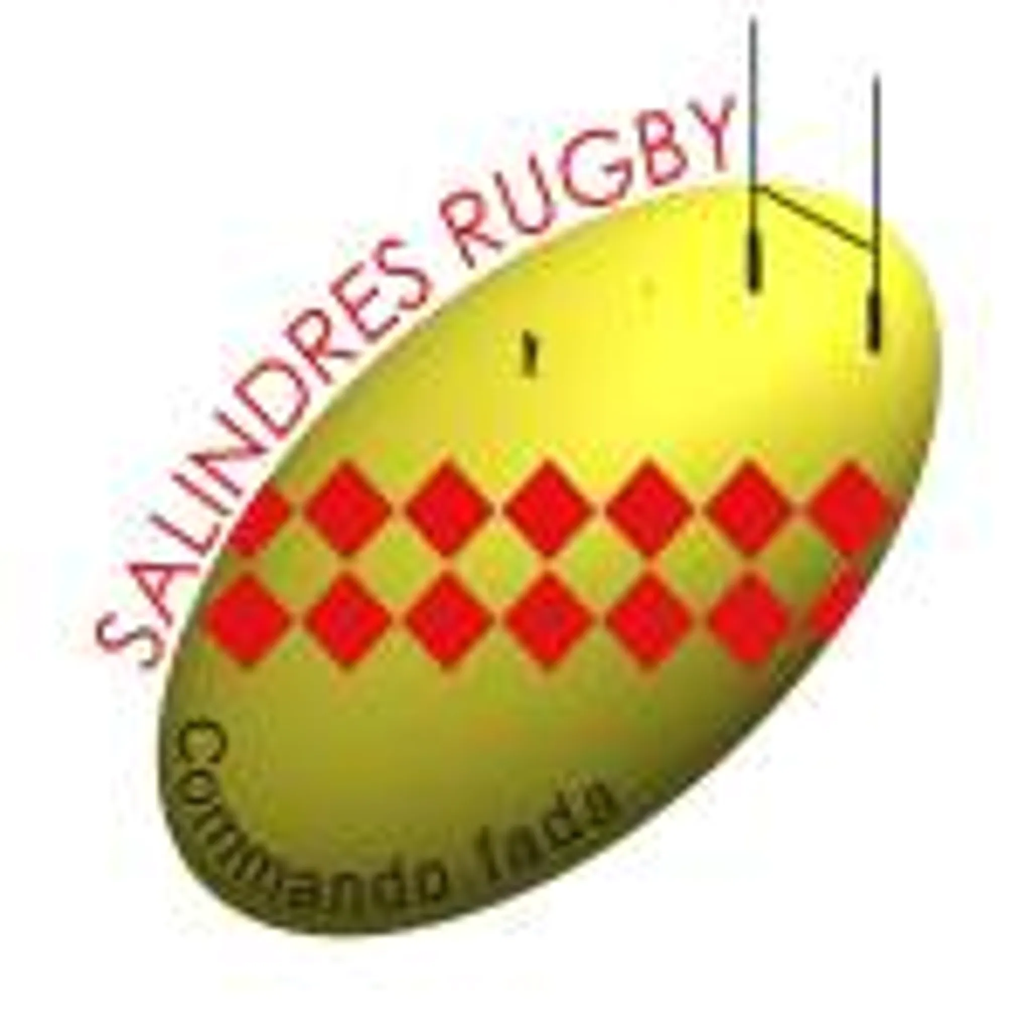 Tournoi de Rugby féminin M12